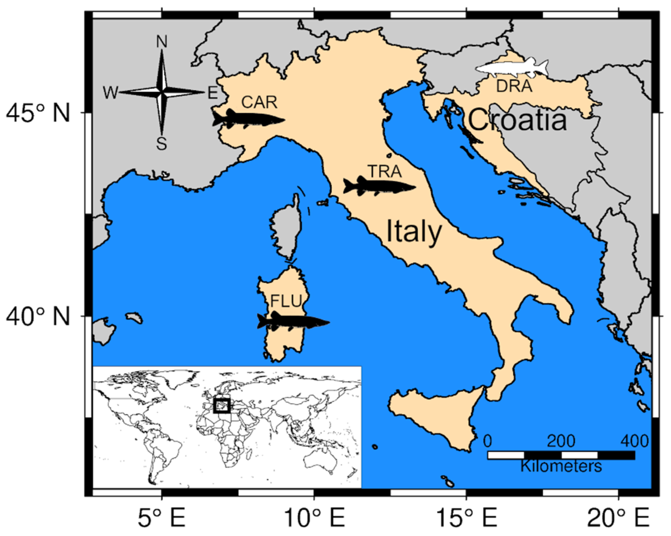 Animals 13 00380 g001