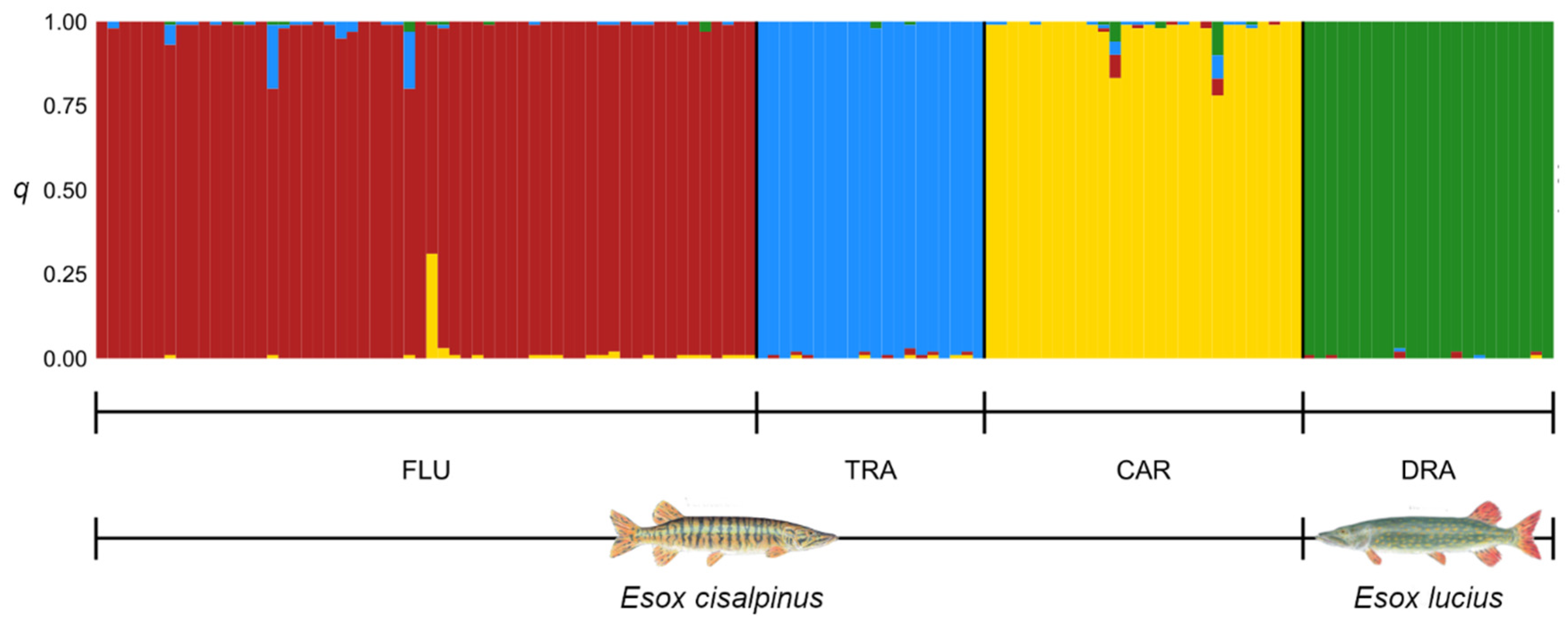 Animals 13 00380 g002