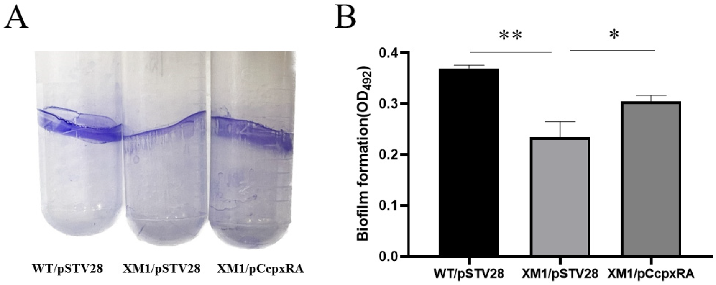 Animals 13 00383 g002 Animals 13 00383 g002