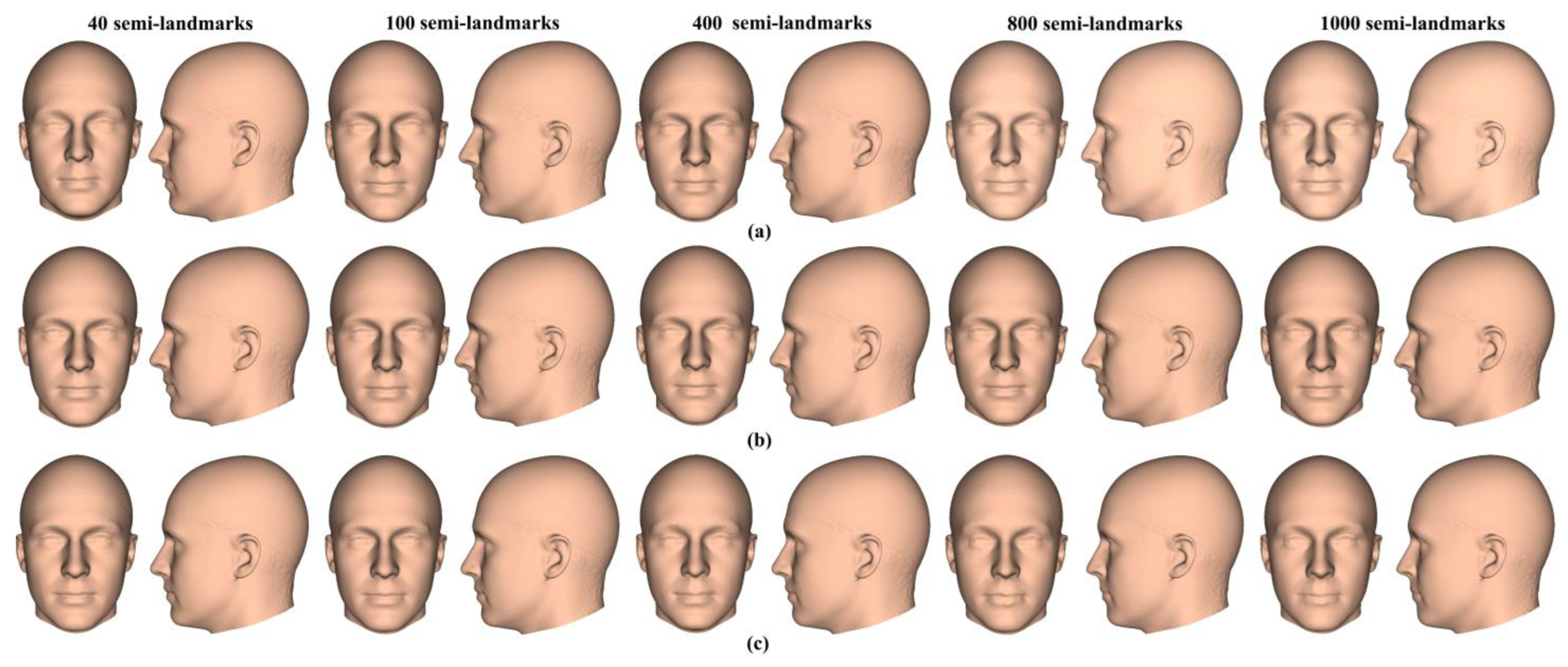 Animals 13 00385 g005