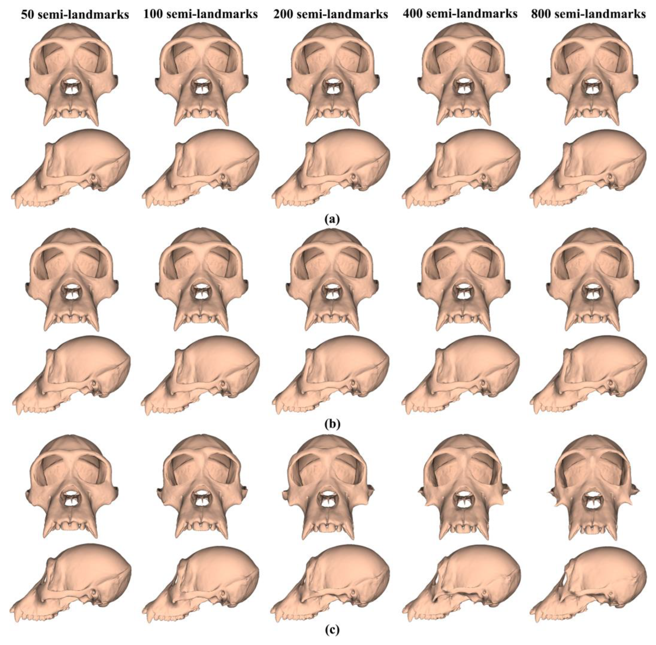 Animals 13 00385 g008