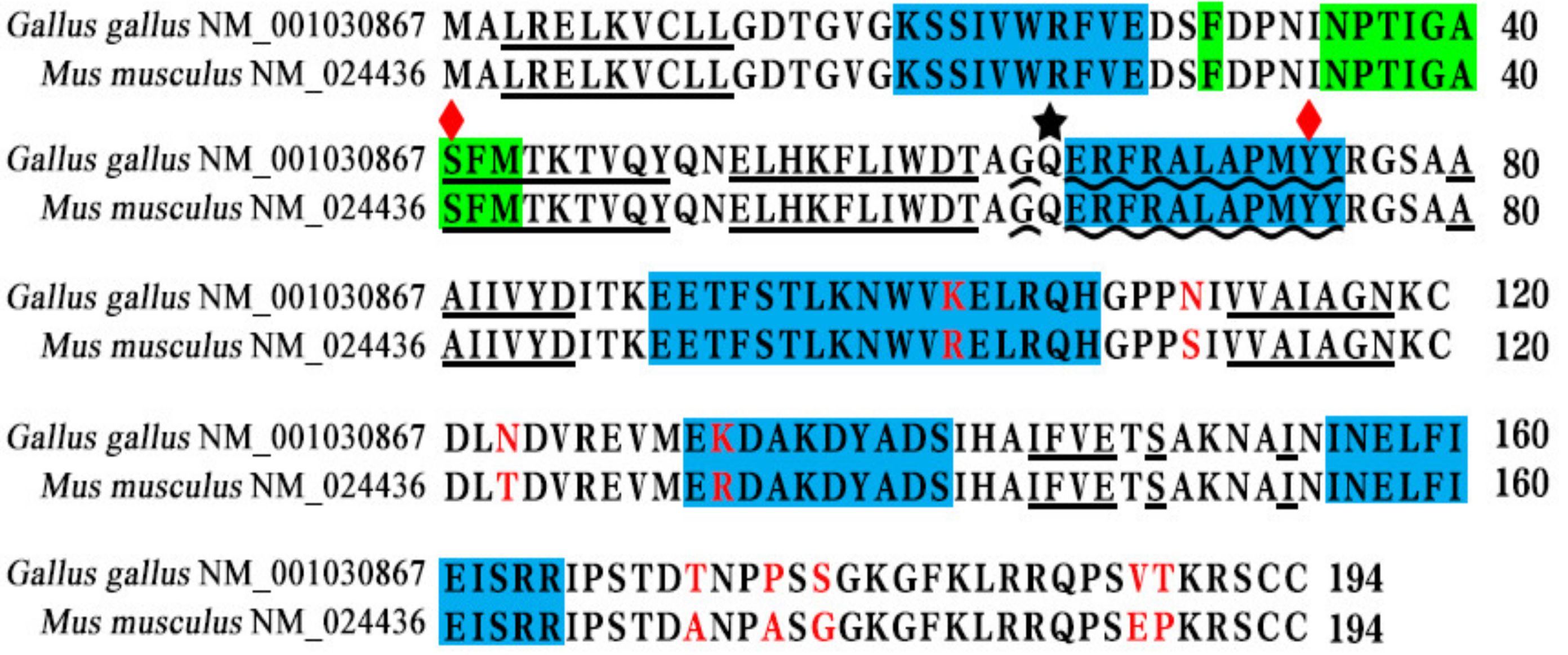 Animals 13 00387 g001