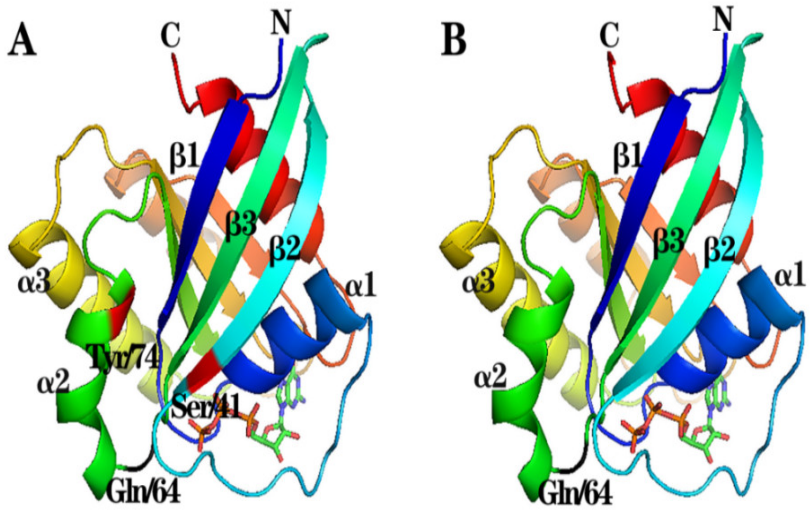 Animals 13 00387 g002