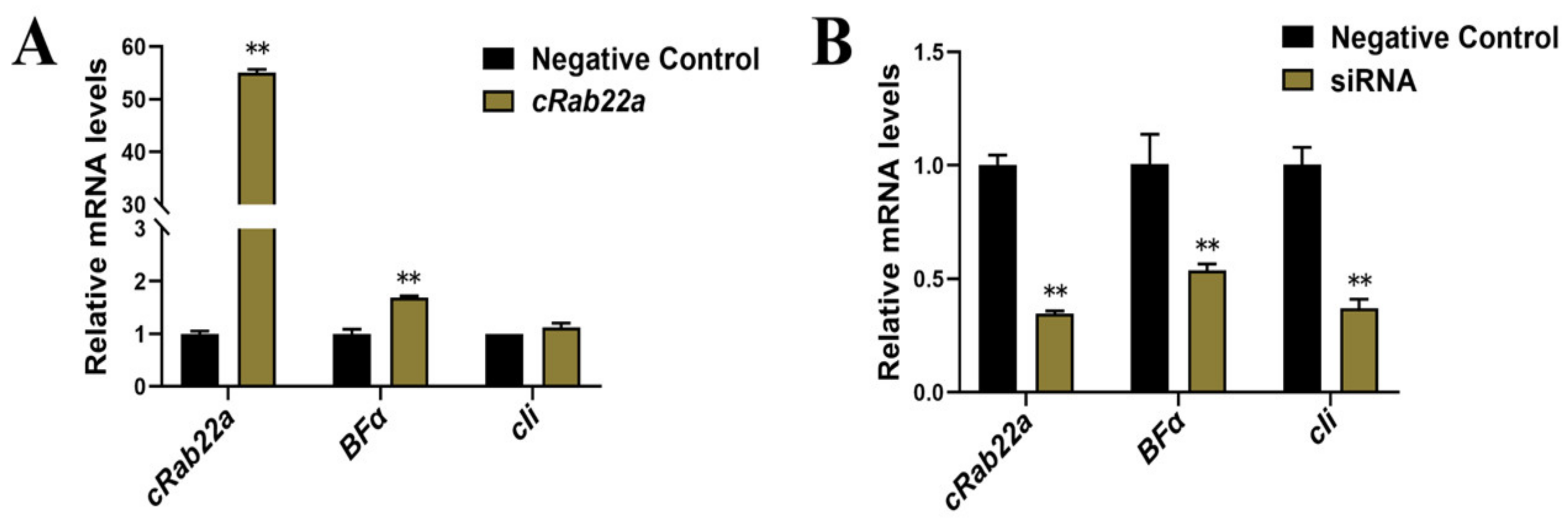 Animals 13 00387 g005