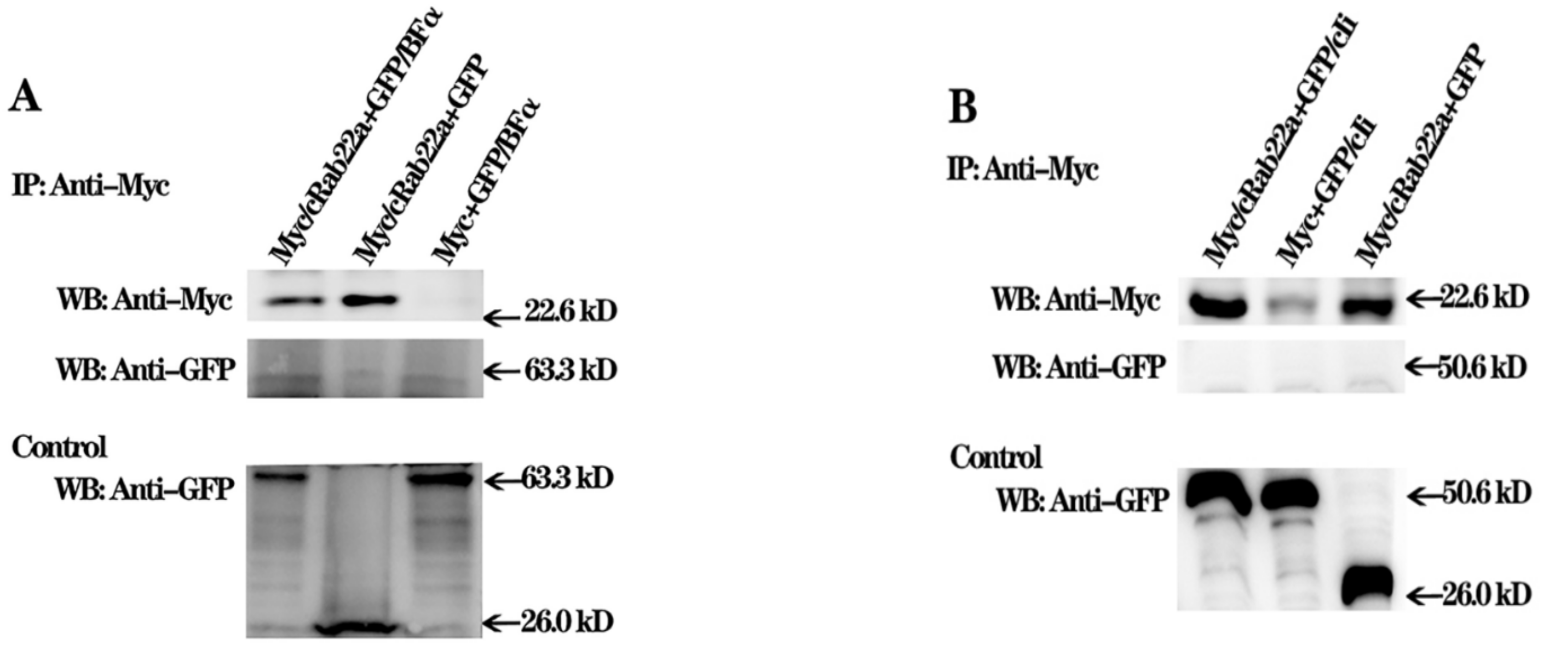 Animals 13 00387 g006