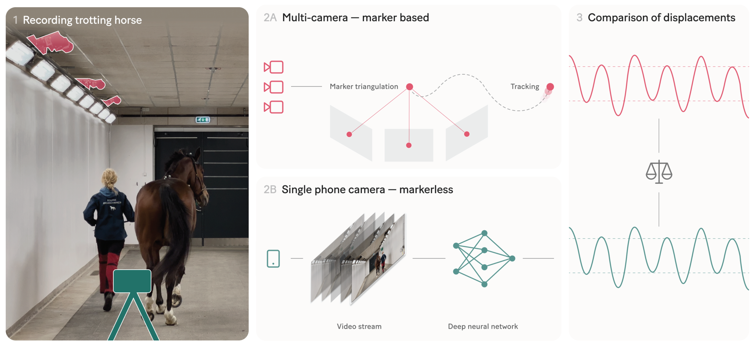 Animals 13 00390 g001