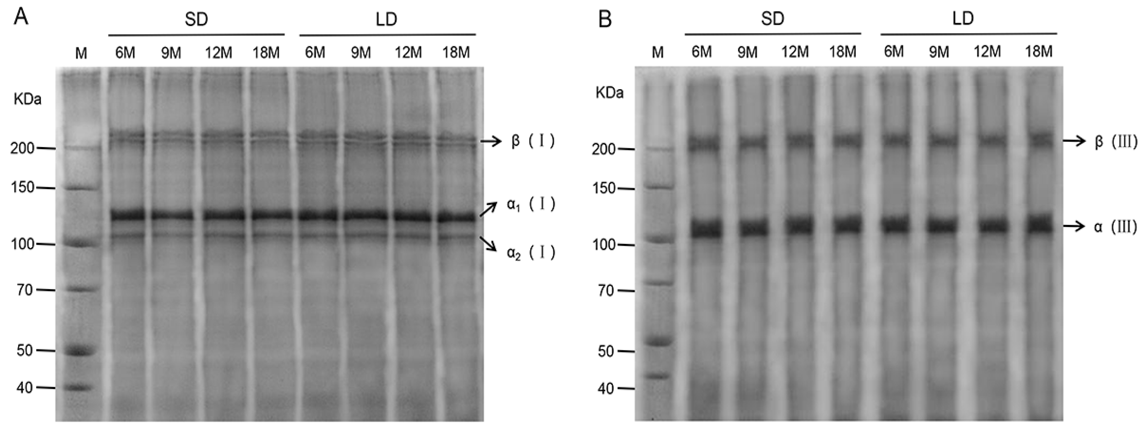Animals 13 00395 g003