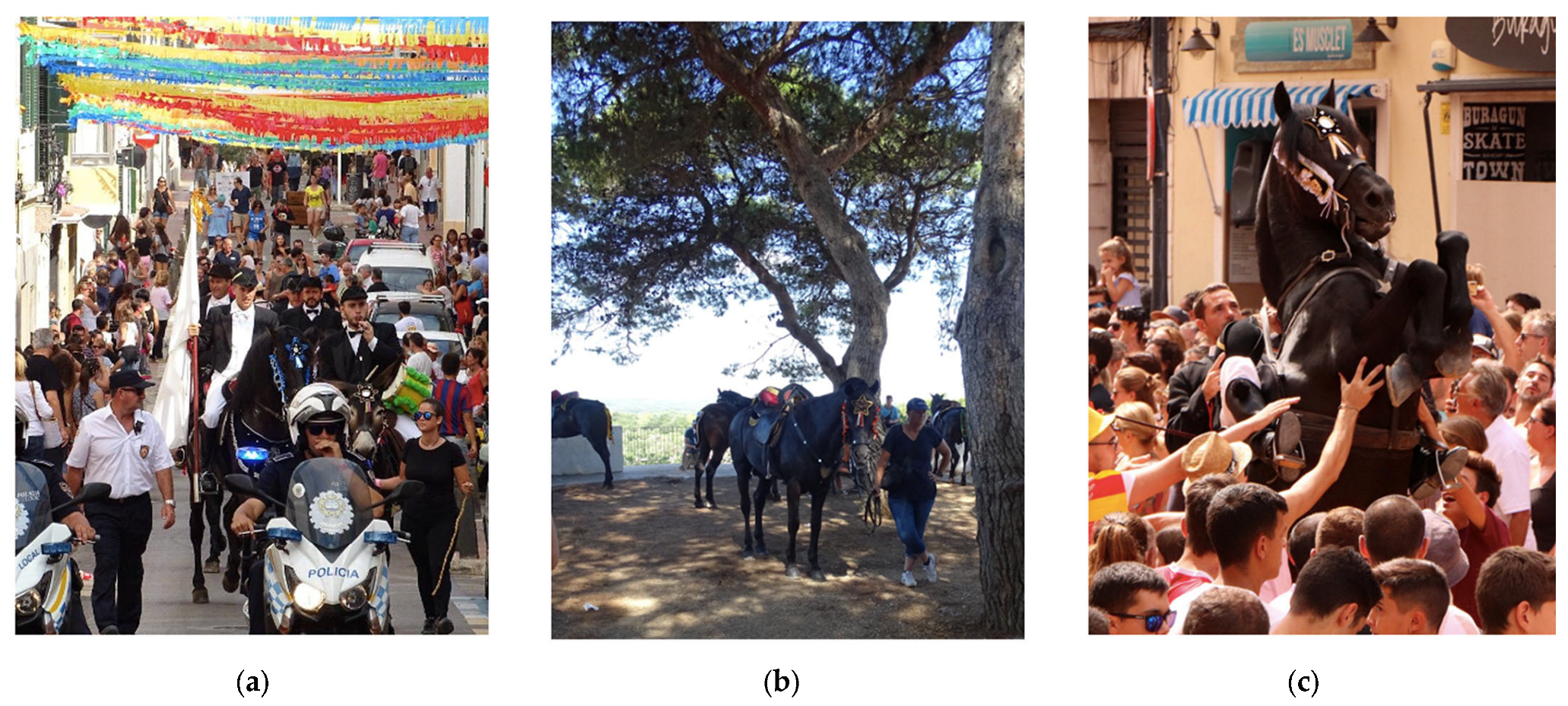 Animals 13 00396 g001