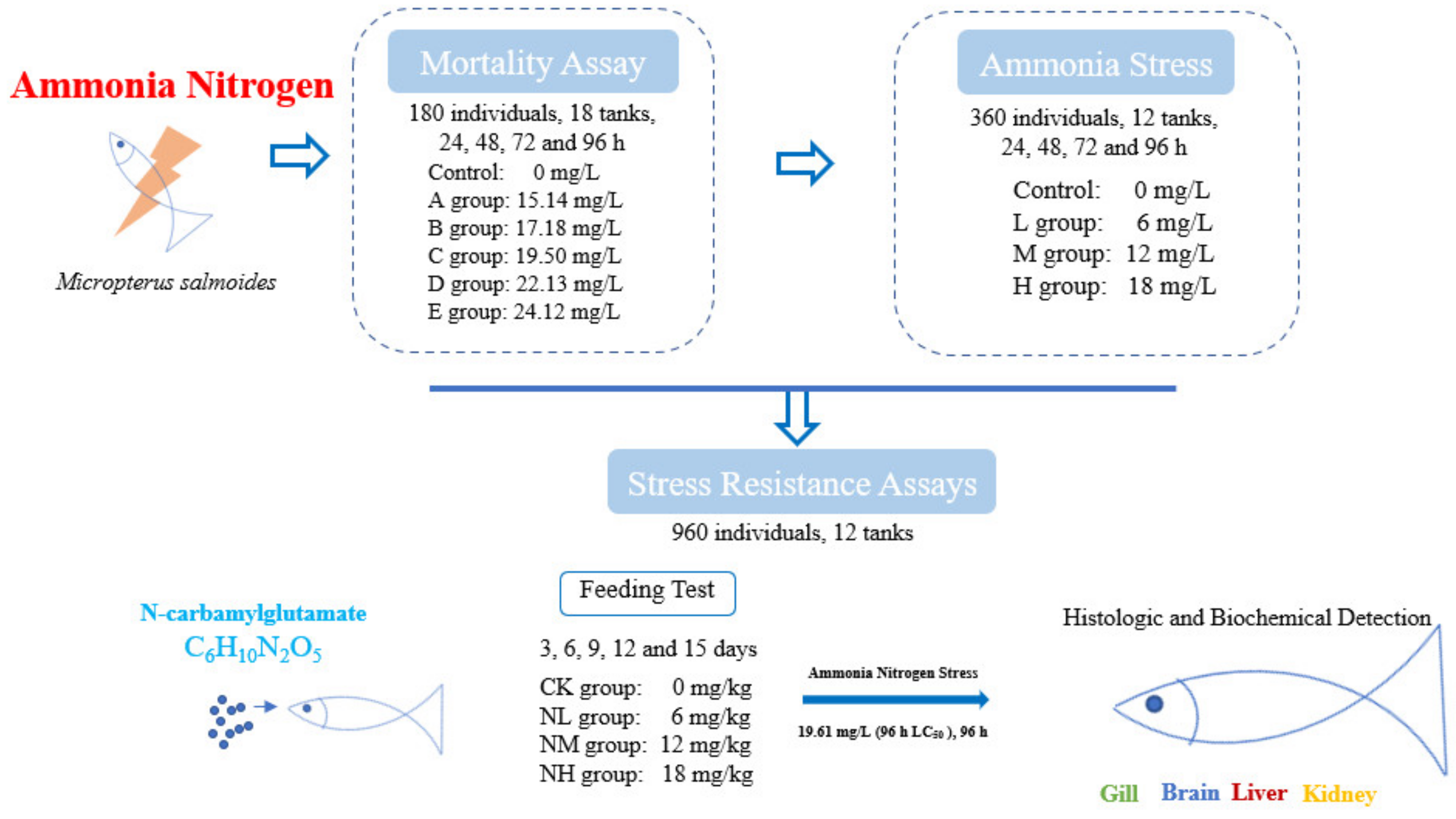 Animals 13 00397 g001