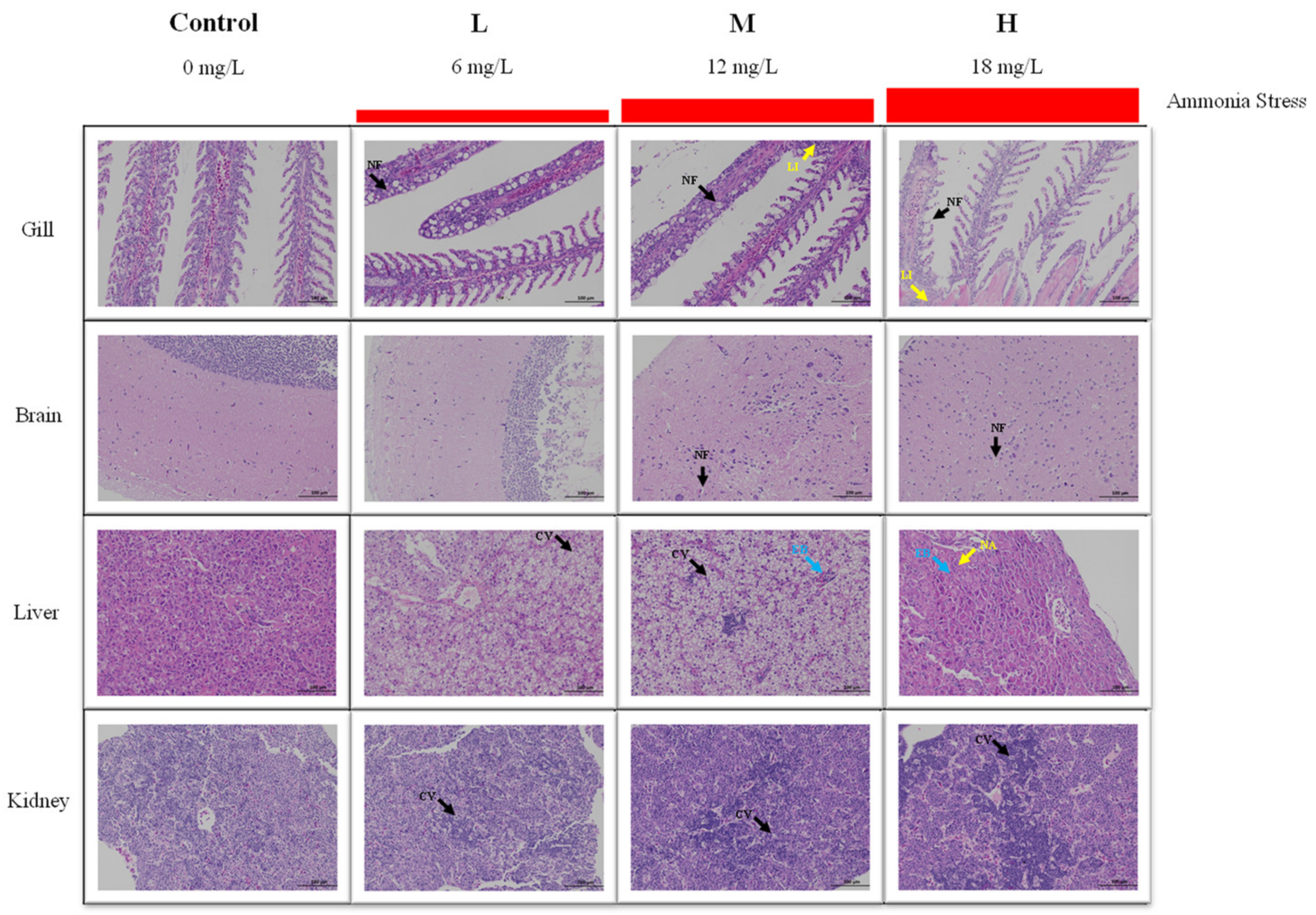 Animals 13 00397 g002