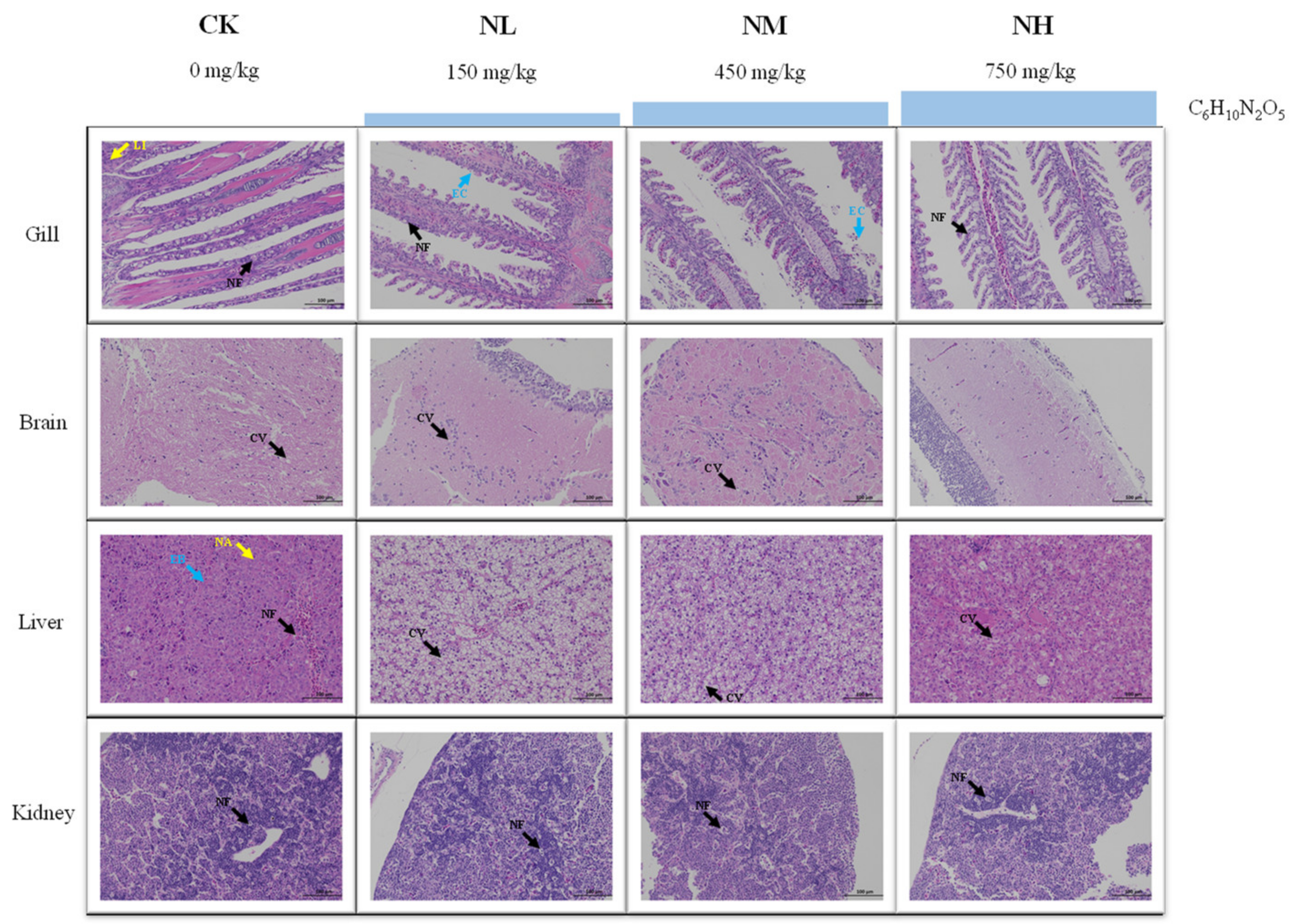 Animals 13 00397 g007