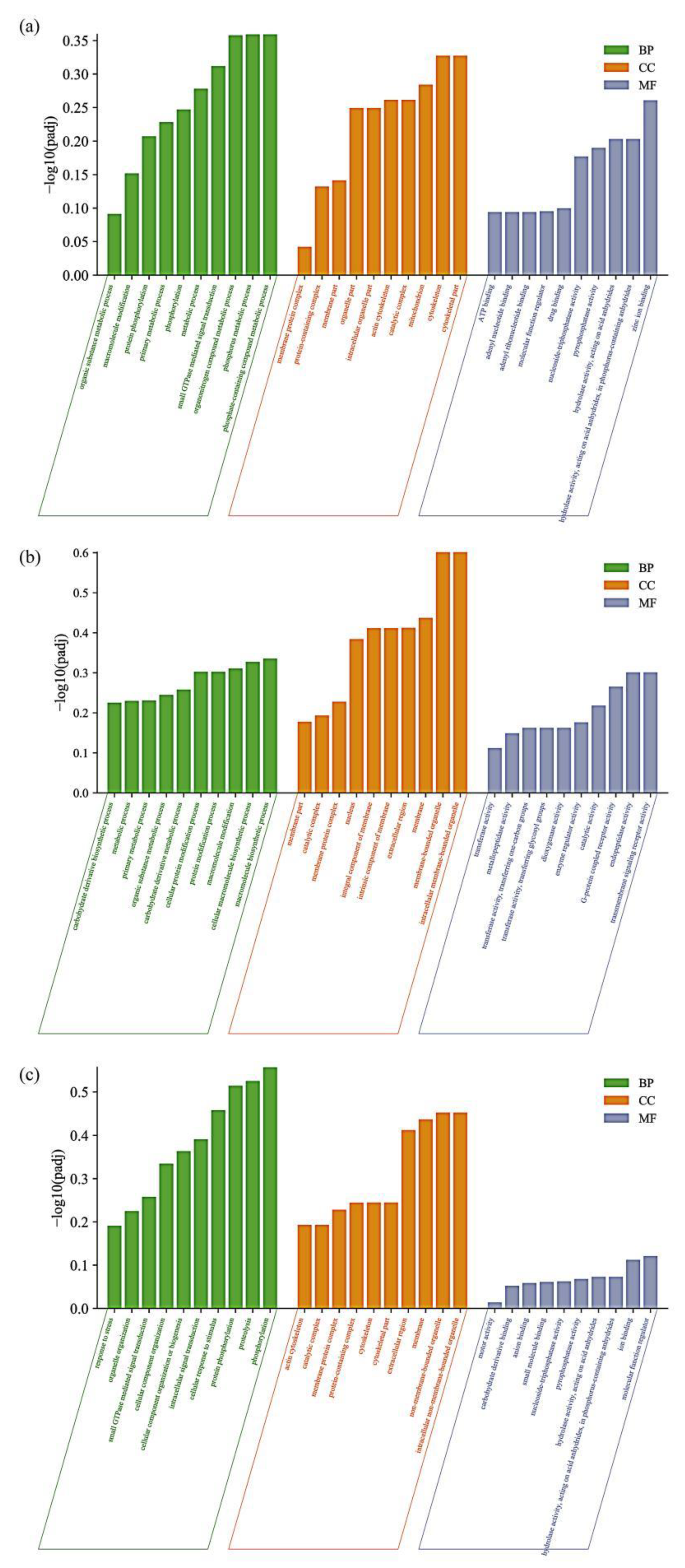 Animals 13 00400 g004