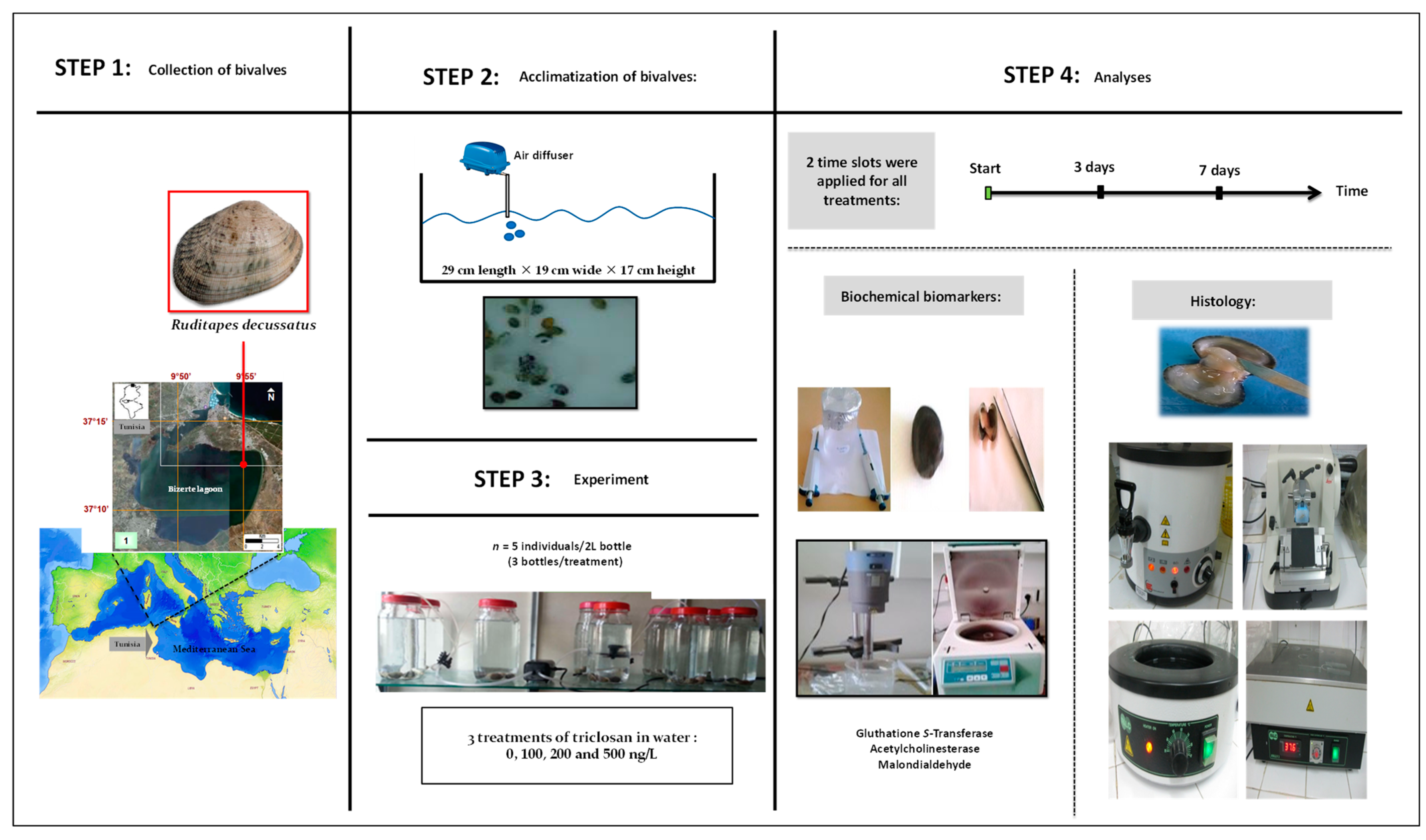 Animals 13 00402 g001