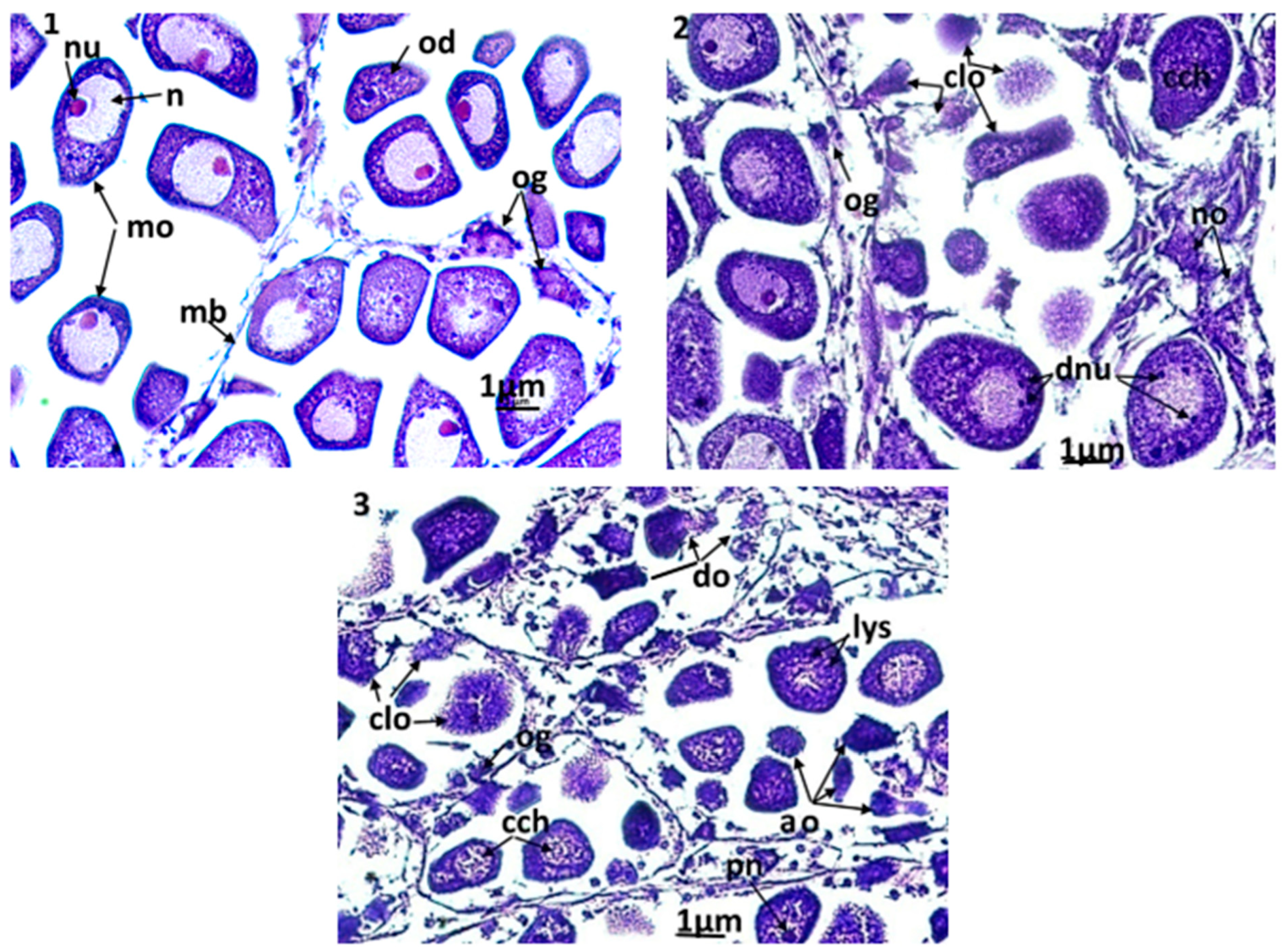 Animals 13 00402 g006