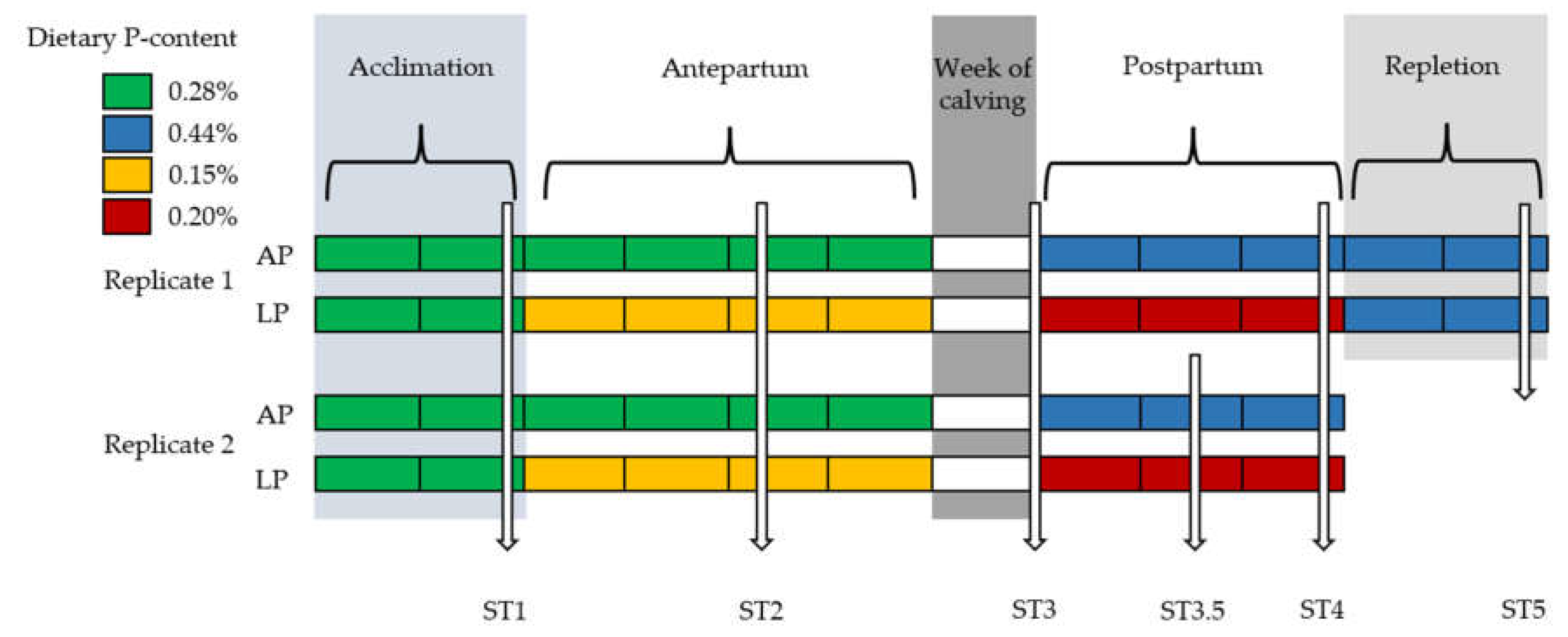 Animals 13 00404 g001