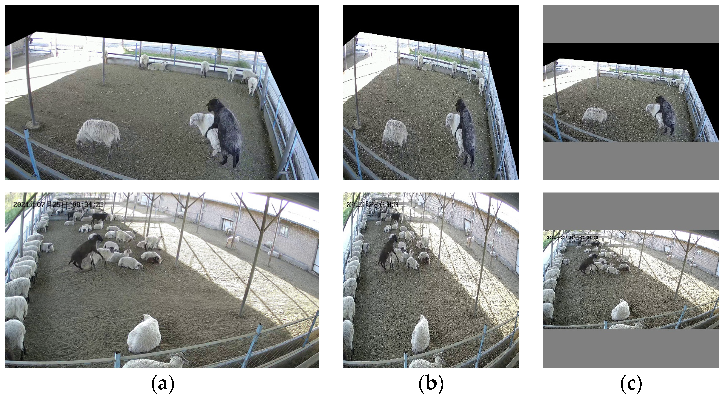 Animals 13 00413 g007