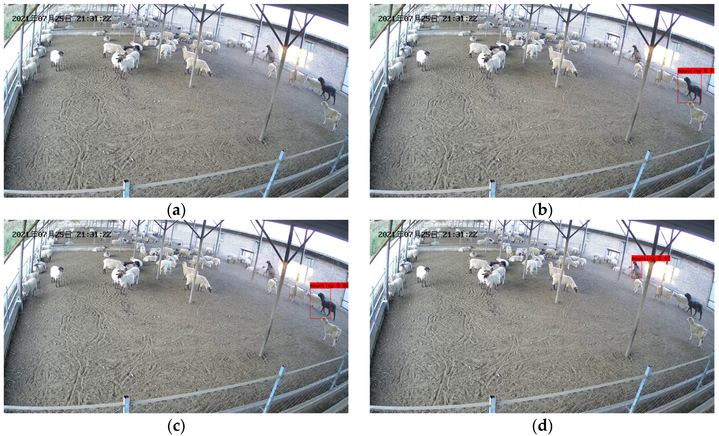 Animals 13 00413 g012