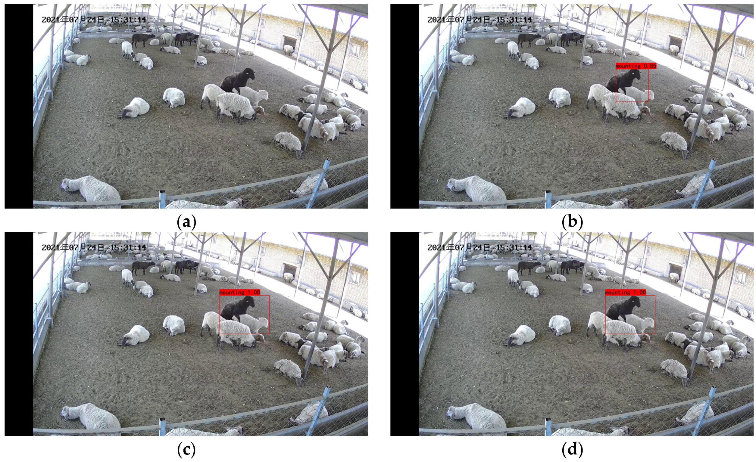 Animals 13 00413 g013