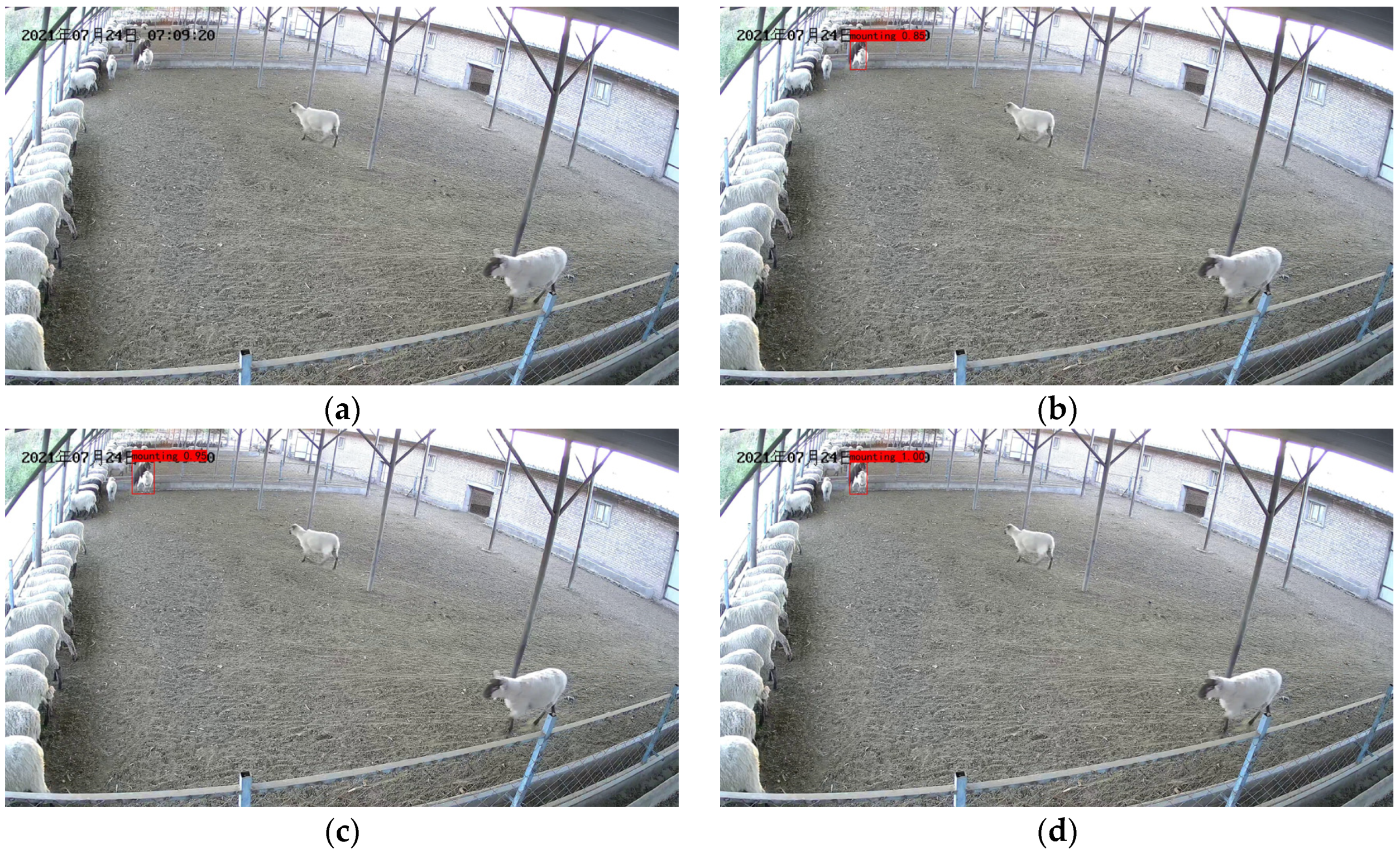 Animals 13 00413 g014