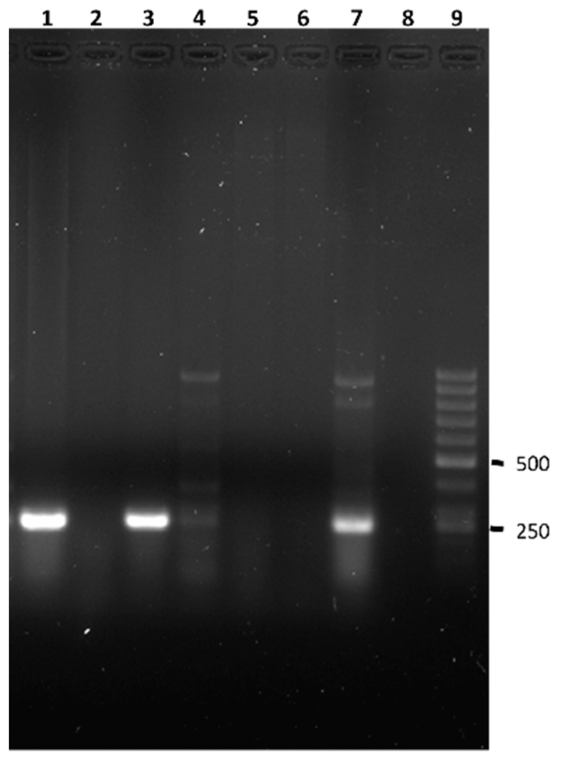 Animals 13 00414 g003