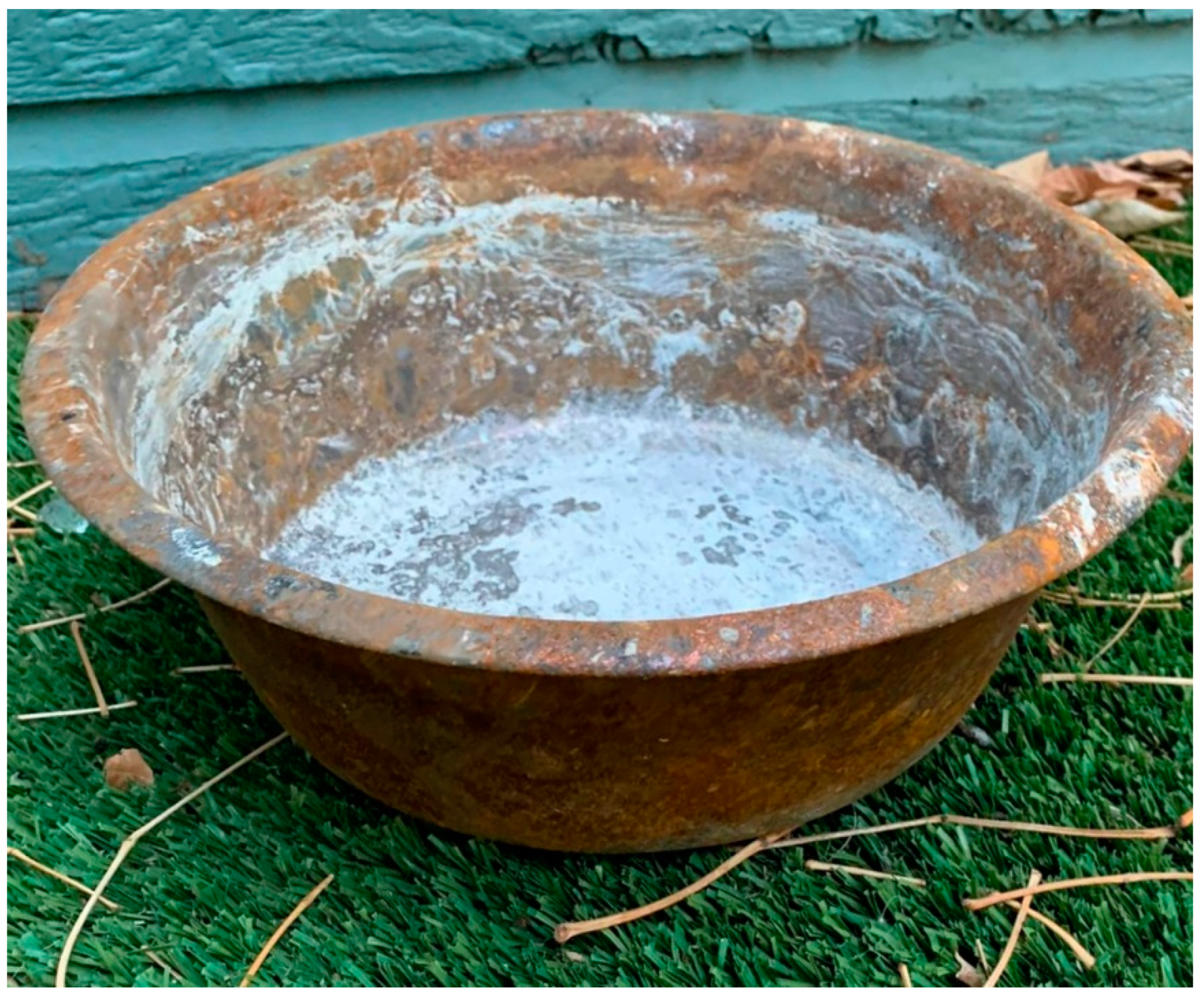 Animals 13 00416 g001