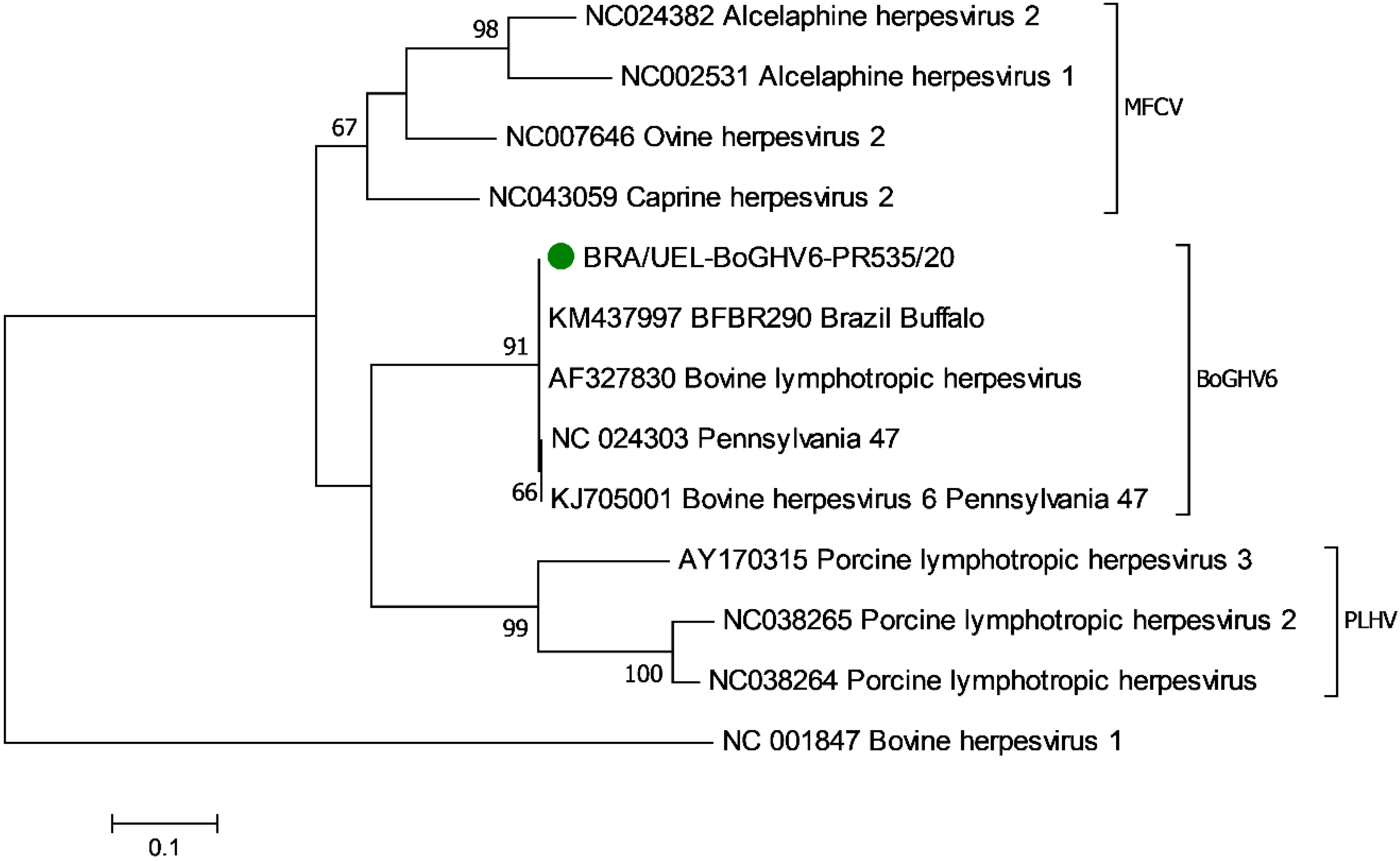 Animals 13 00417 g003