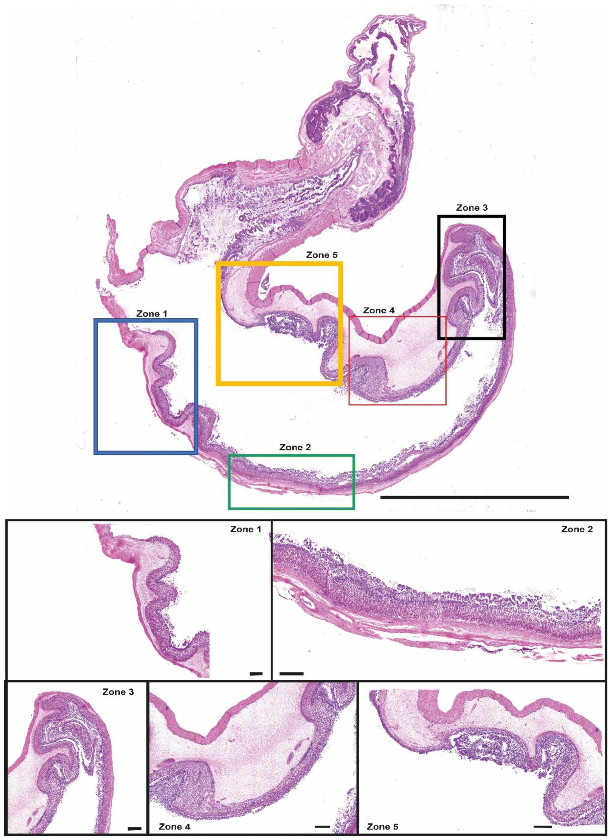 Animals 13 00420 g004