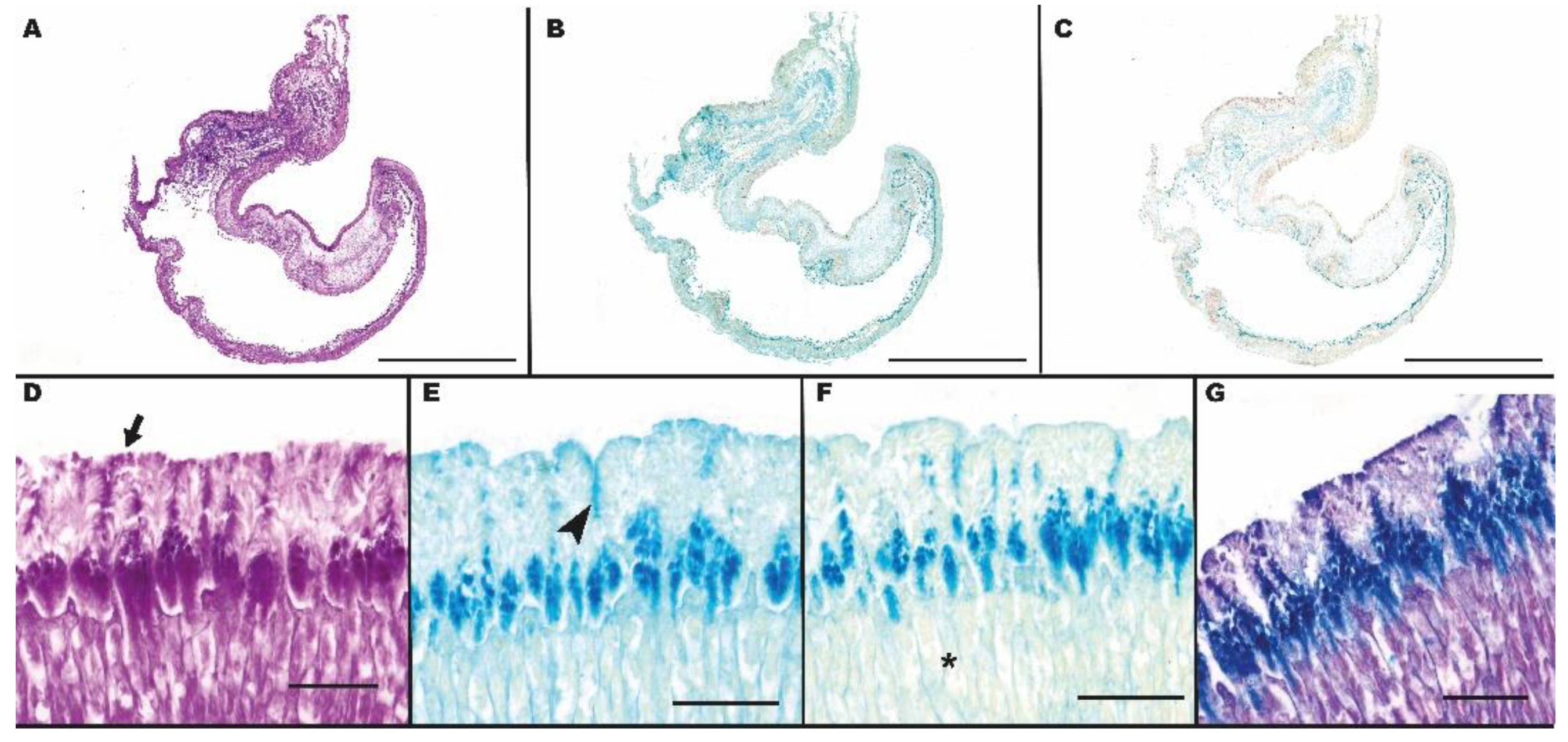 Animals 13 00420 g006