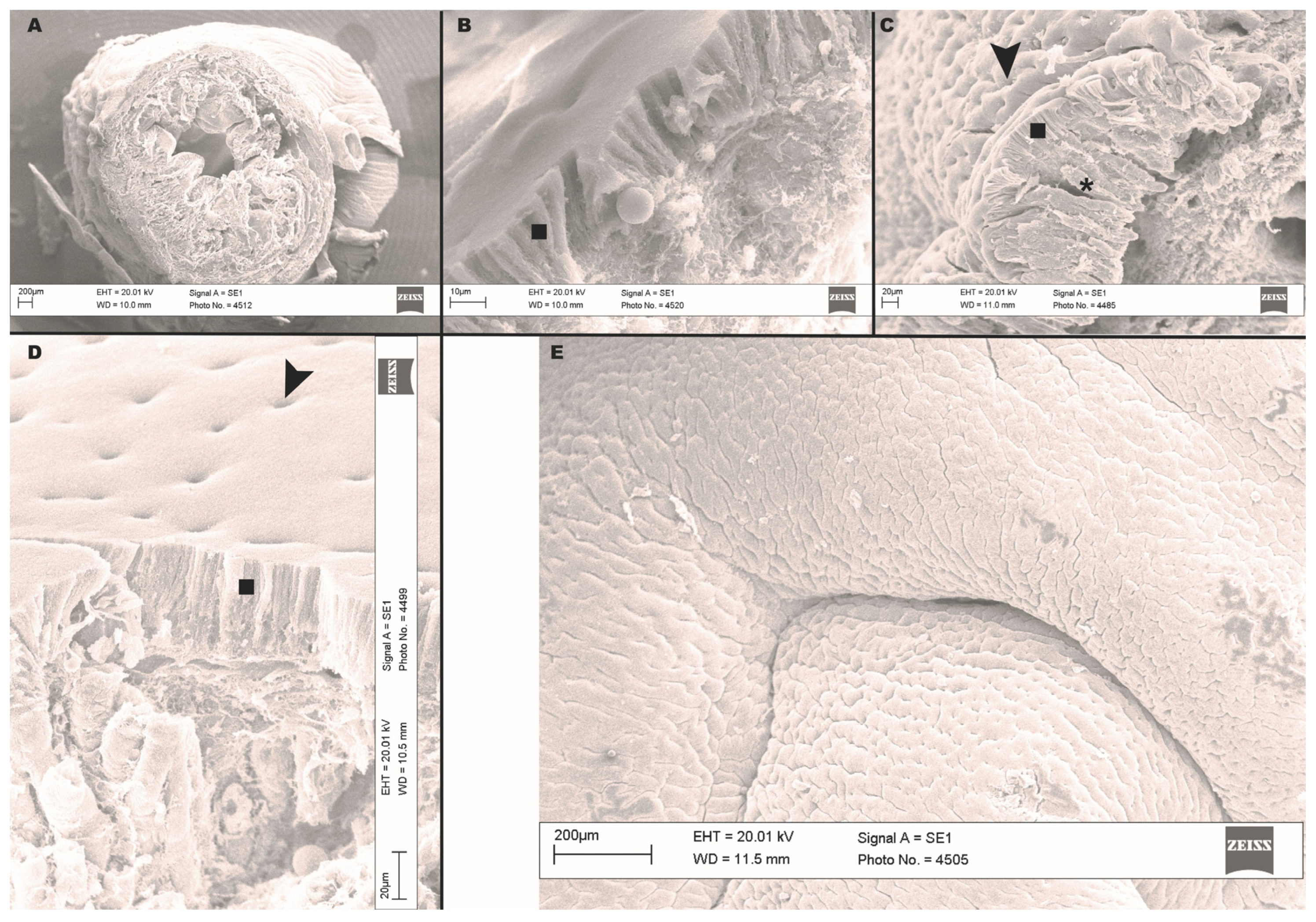 Animals 13 00420 g007