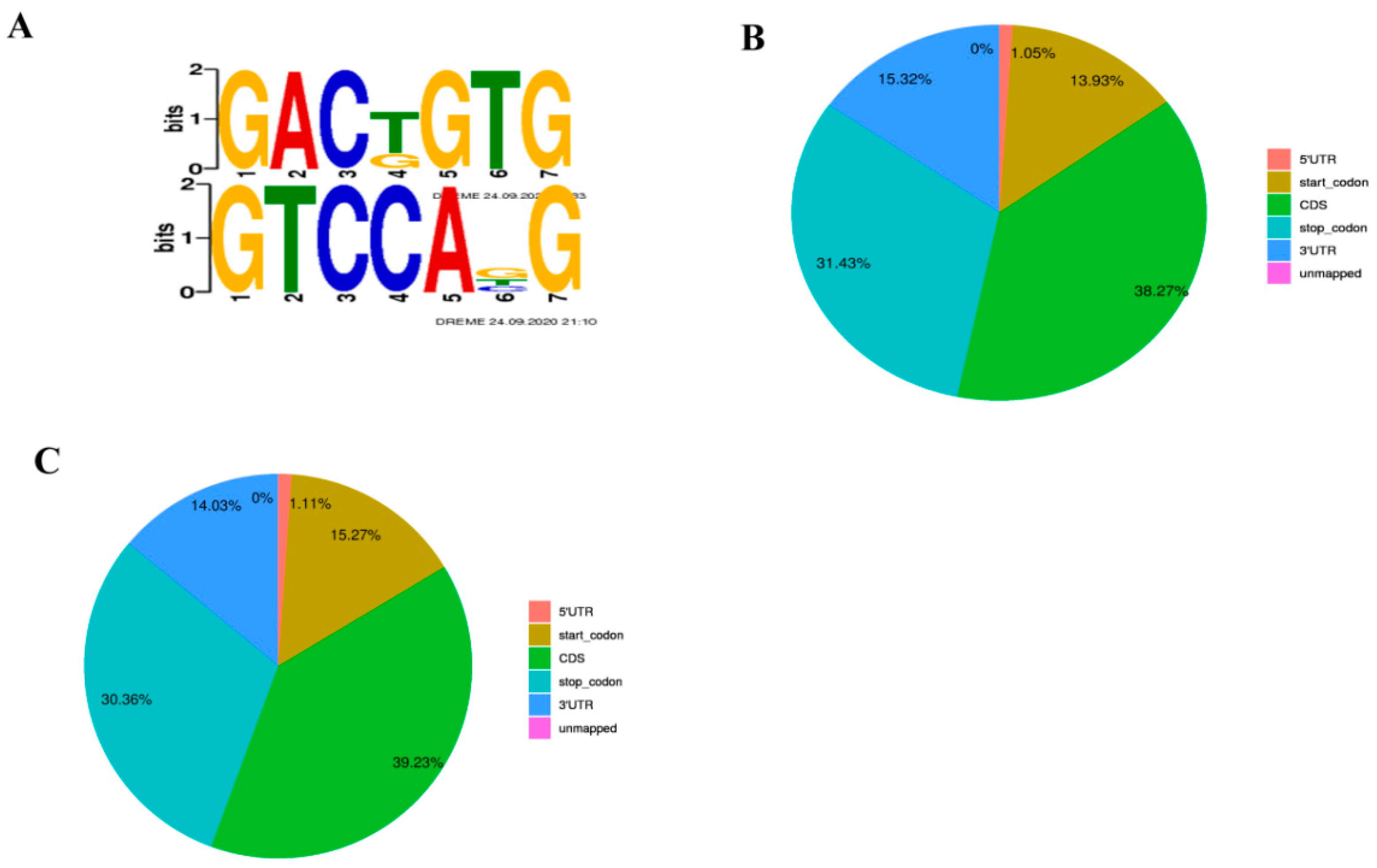 Animals 13 00446 g002