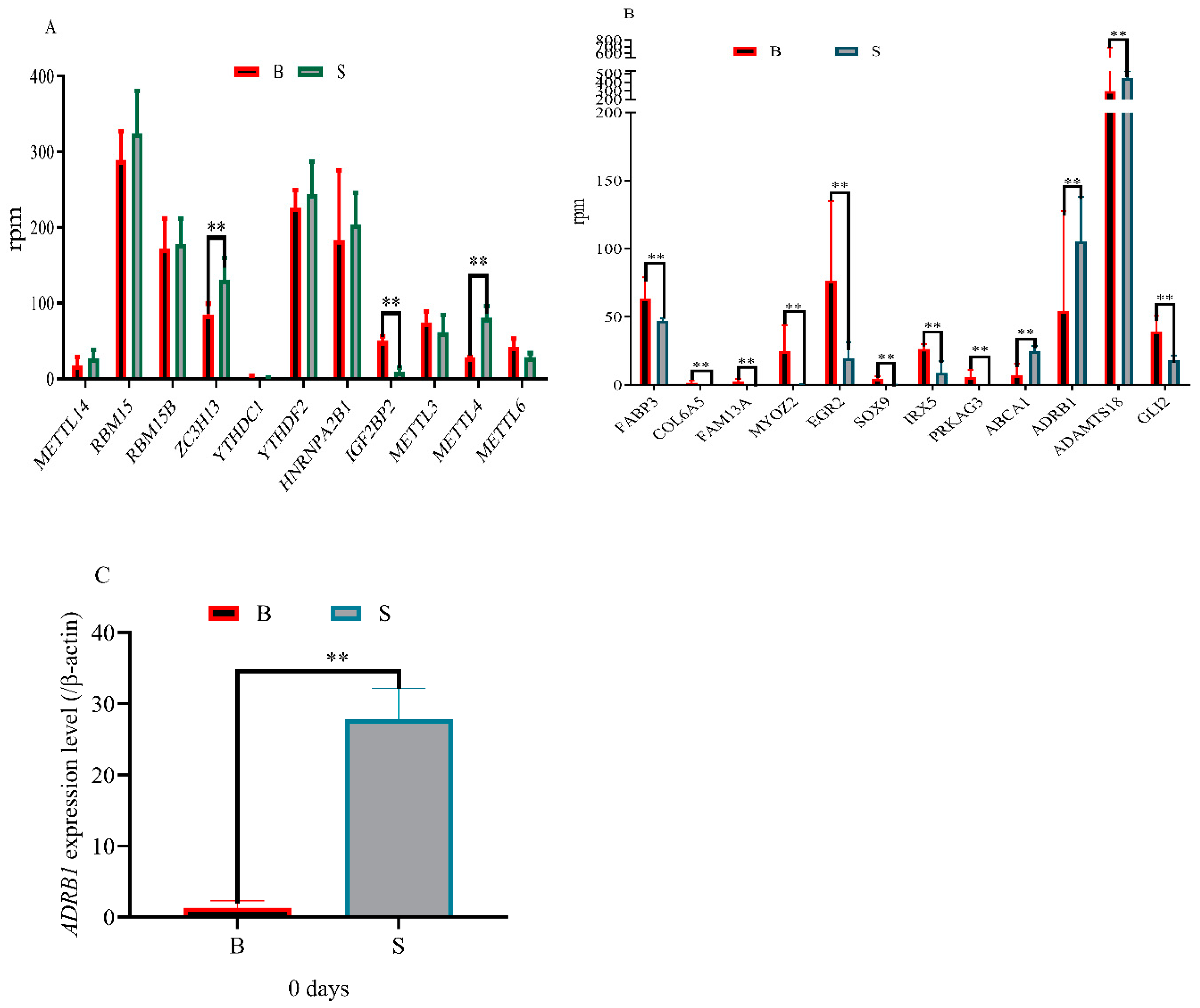 Animals 13 00446 g006