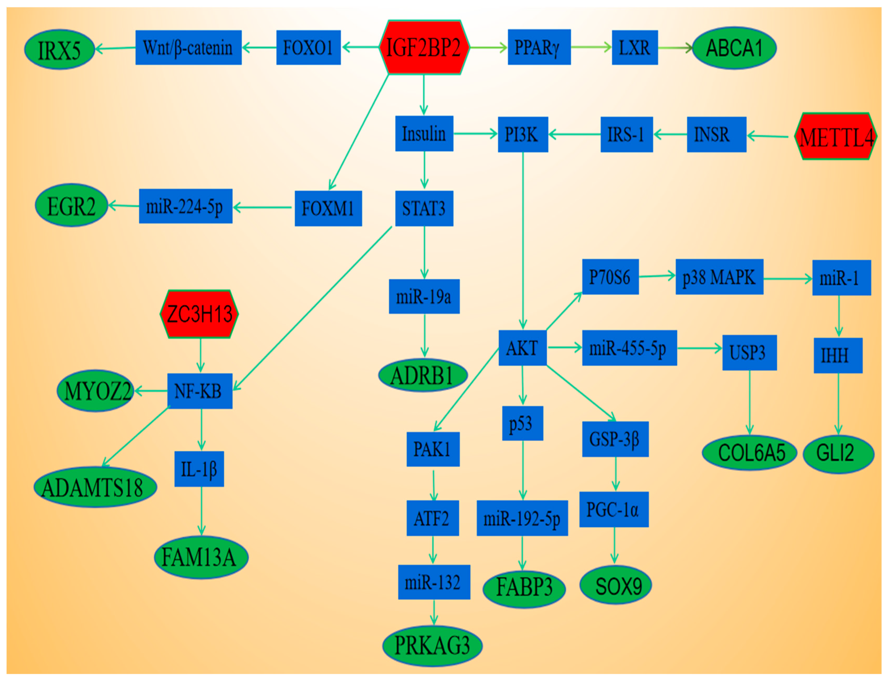 Animals 13 00446 g007