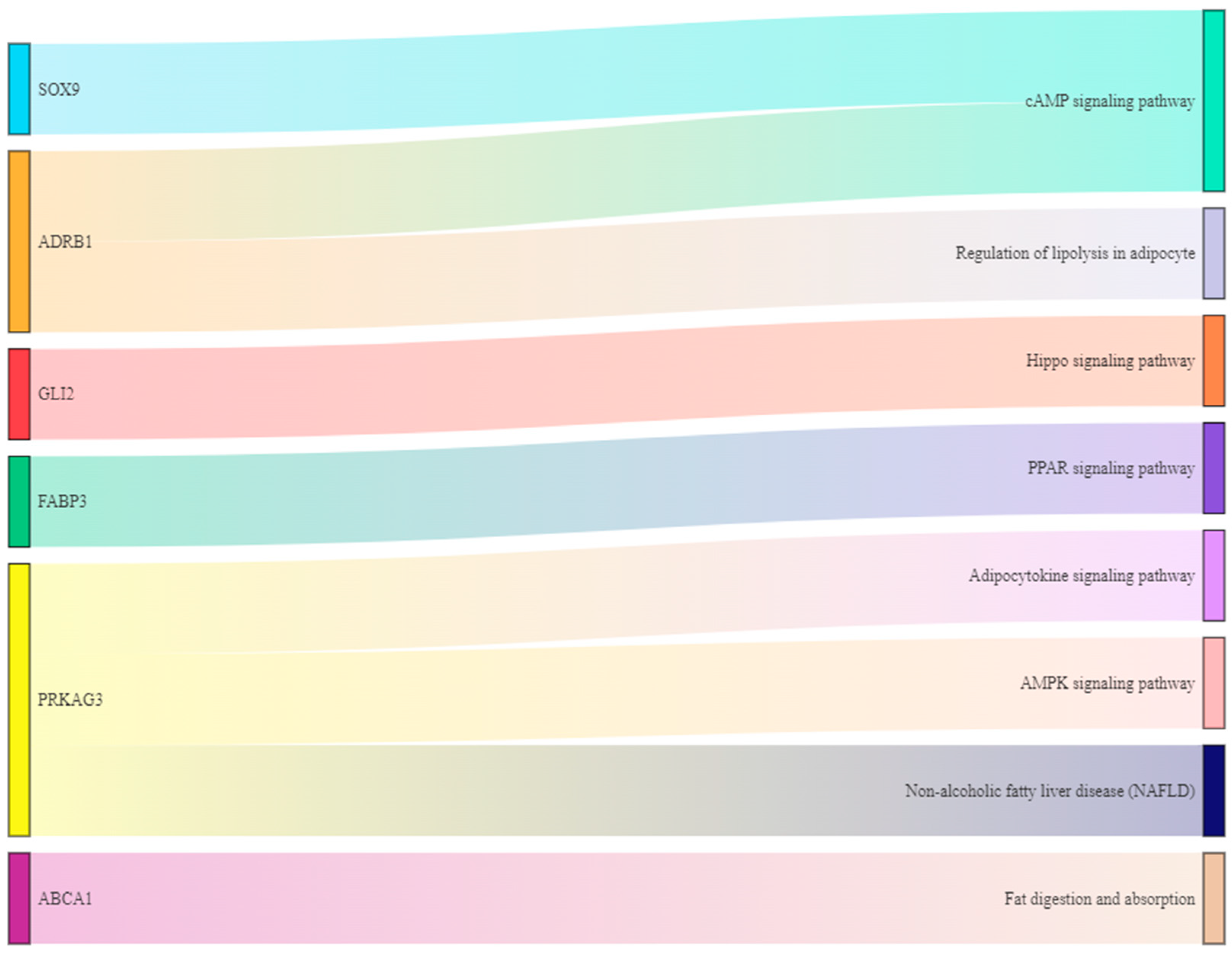 Animals 13 00446 g008