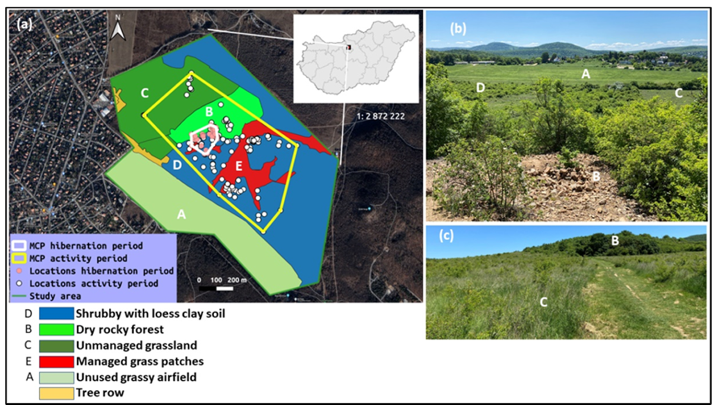 Animals 13 00447 g001