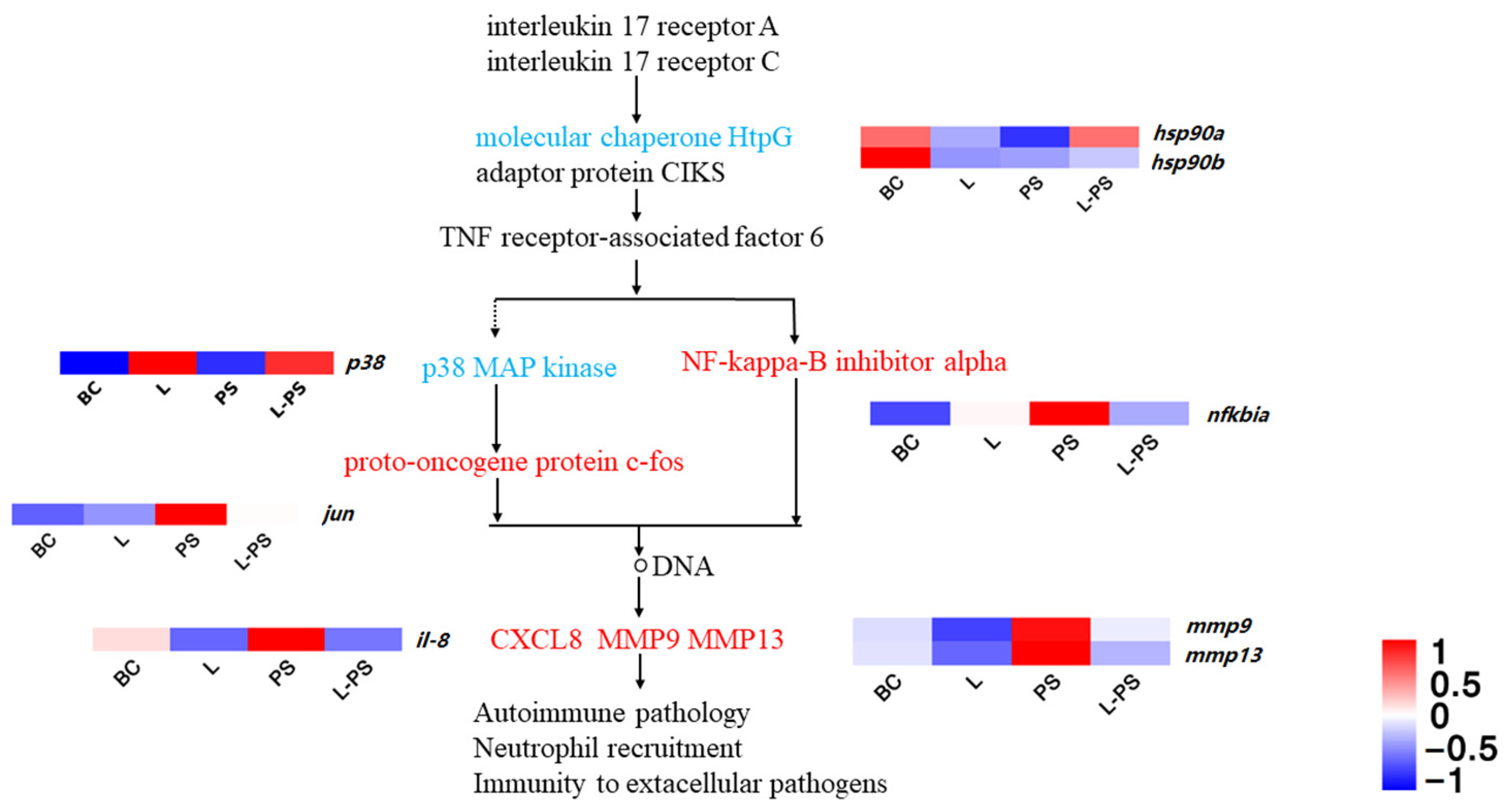 Animals 13 00449 g005 Animals 13 00449 g005