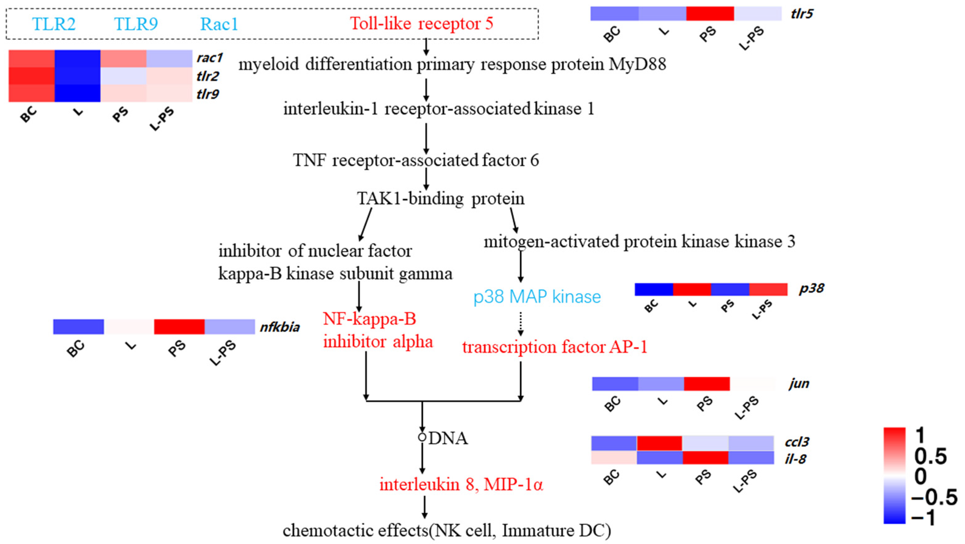 Animals 13 00449 g007 Animals 13 00449 g007