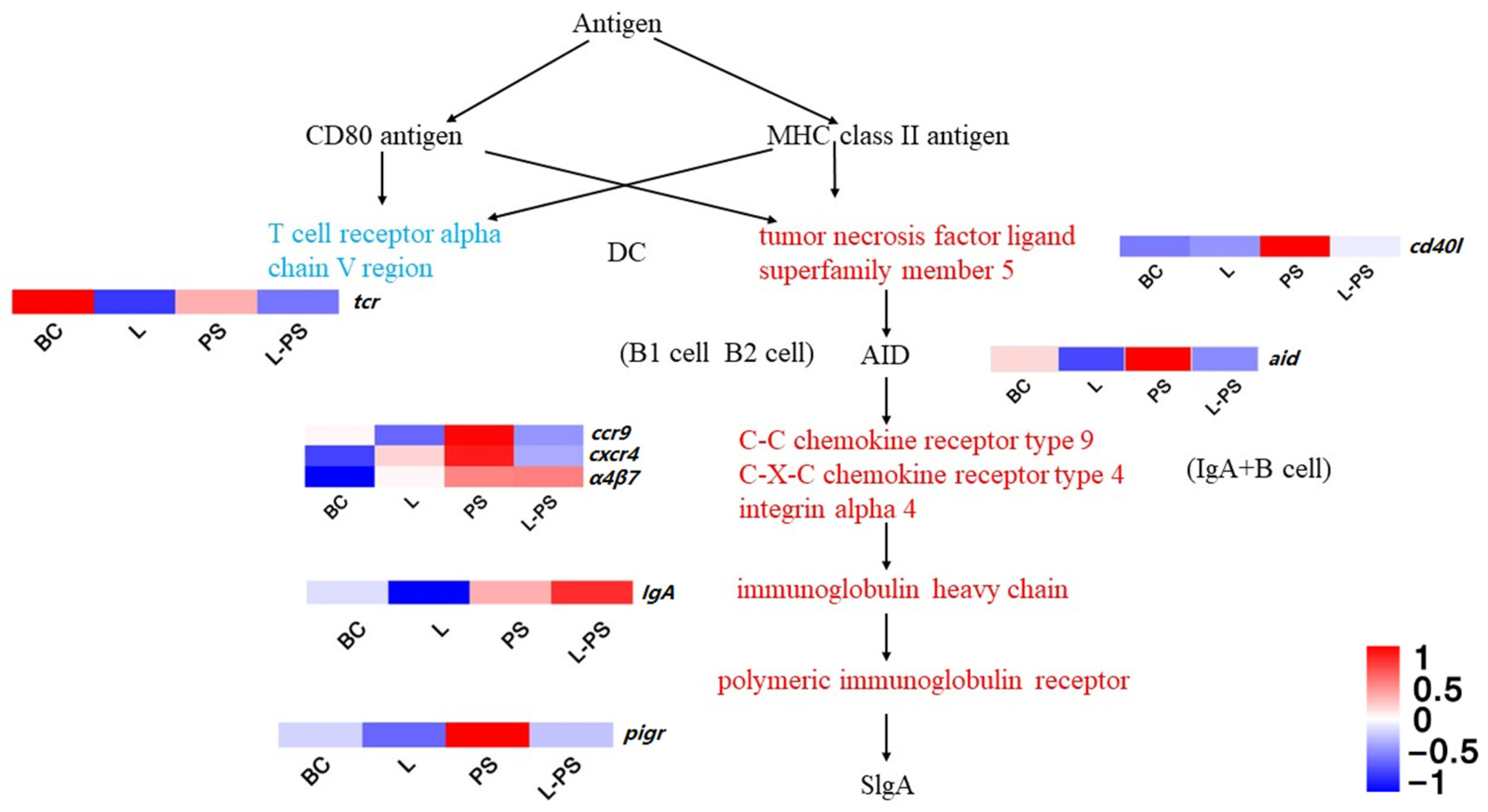 Animals 13 00449 g008 Animals 13 00449 g008
