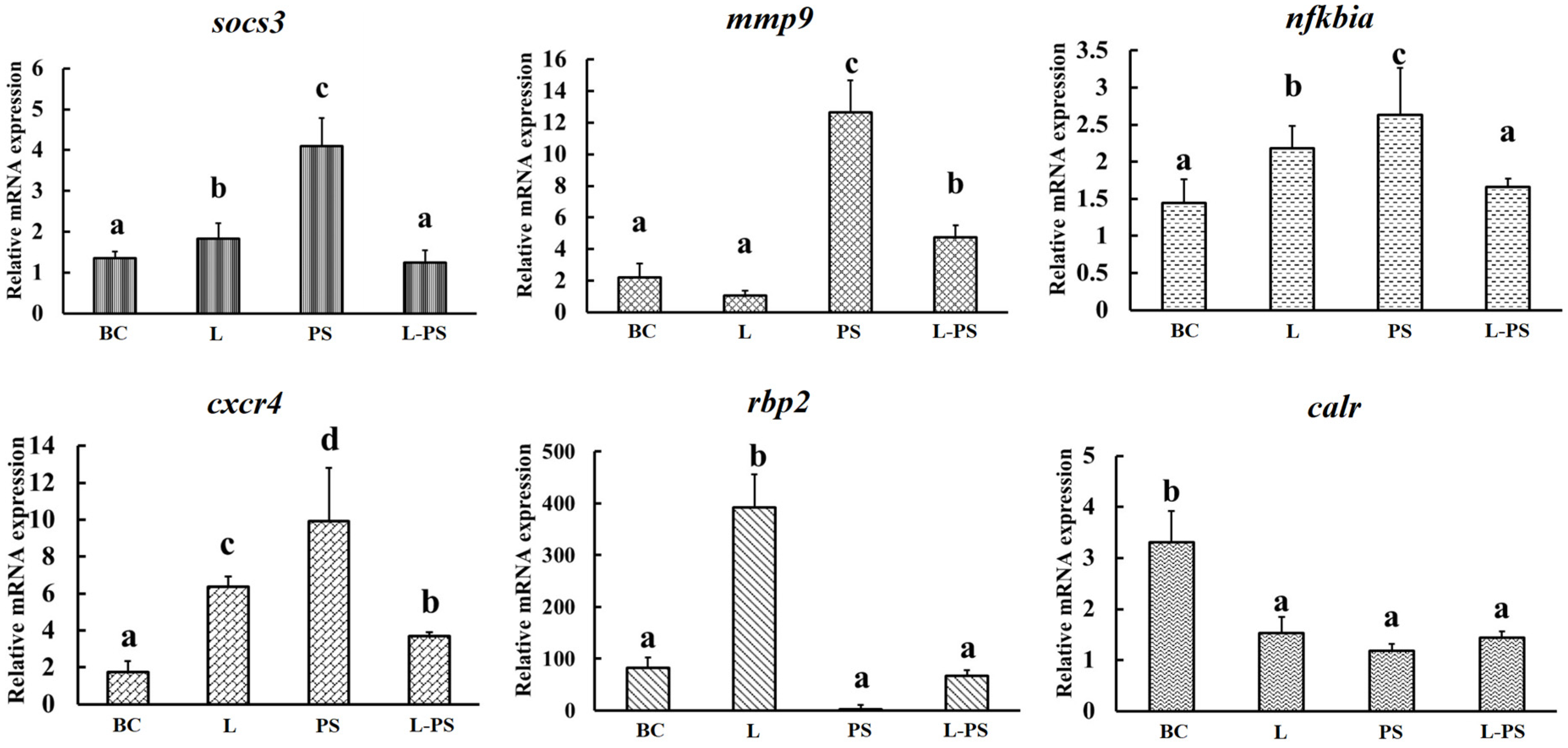 Animals 13 00449 g009 Animals 13 00449 g009
