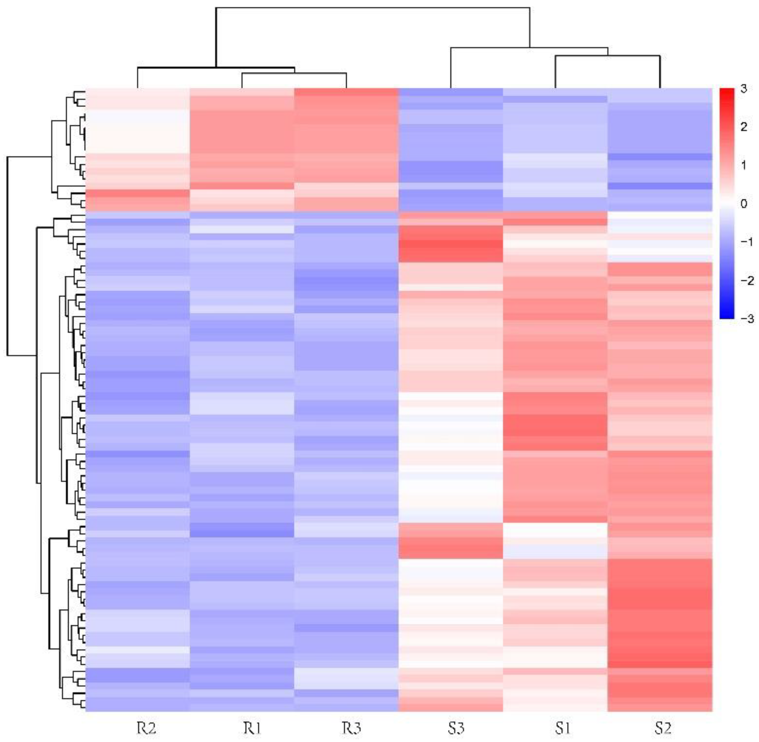 Animals 13 00456 g004