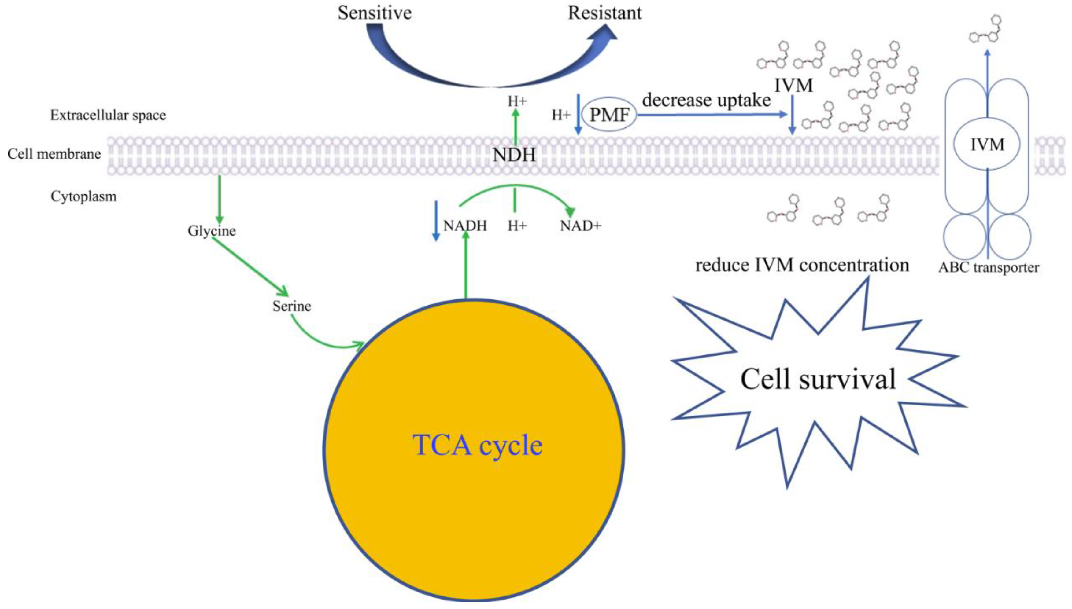 Animals 13 00456 g006