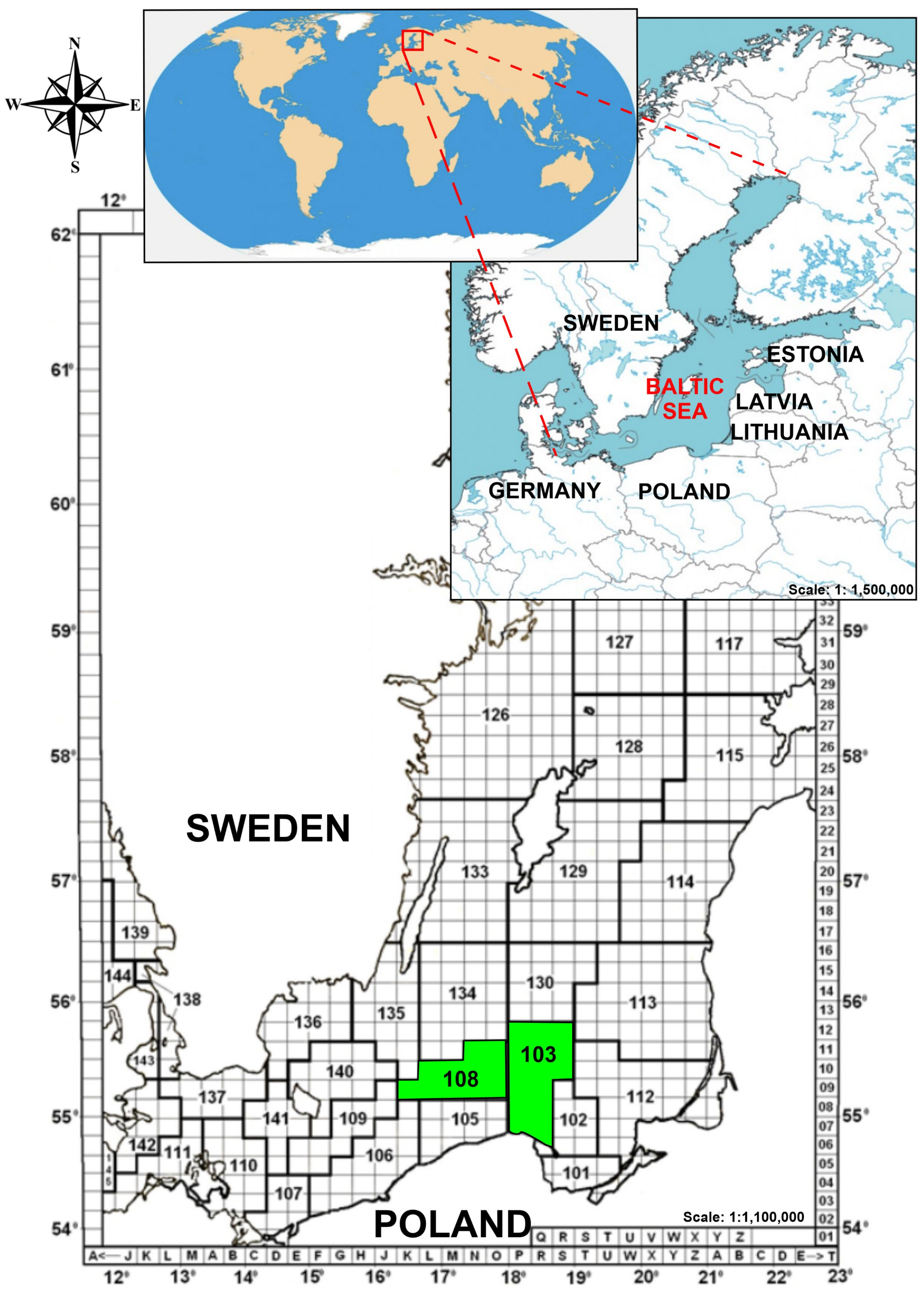 Animals 13 00458 g001