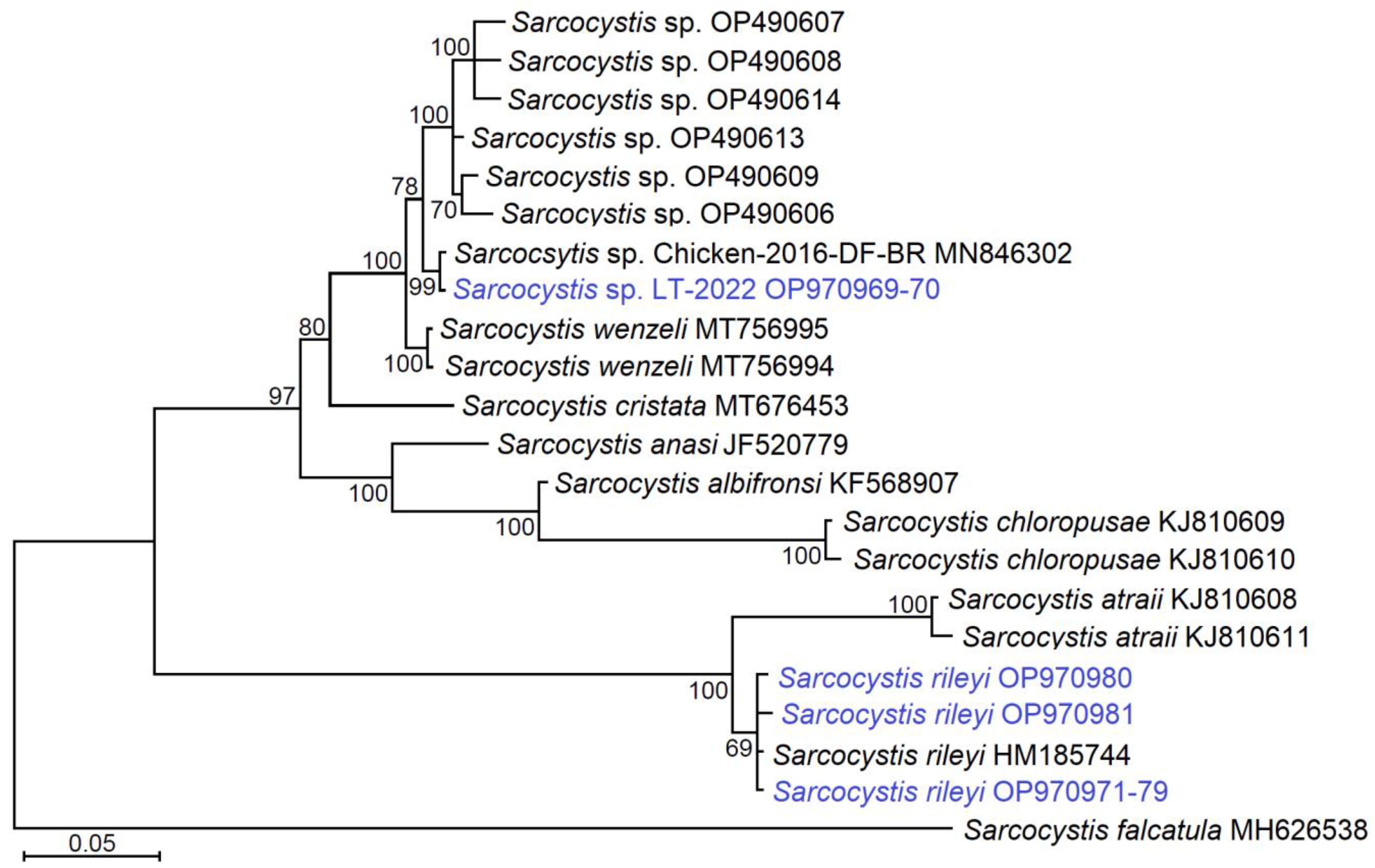 Animals 13 00467 g003 Animals 13 00467 g003