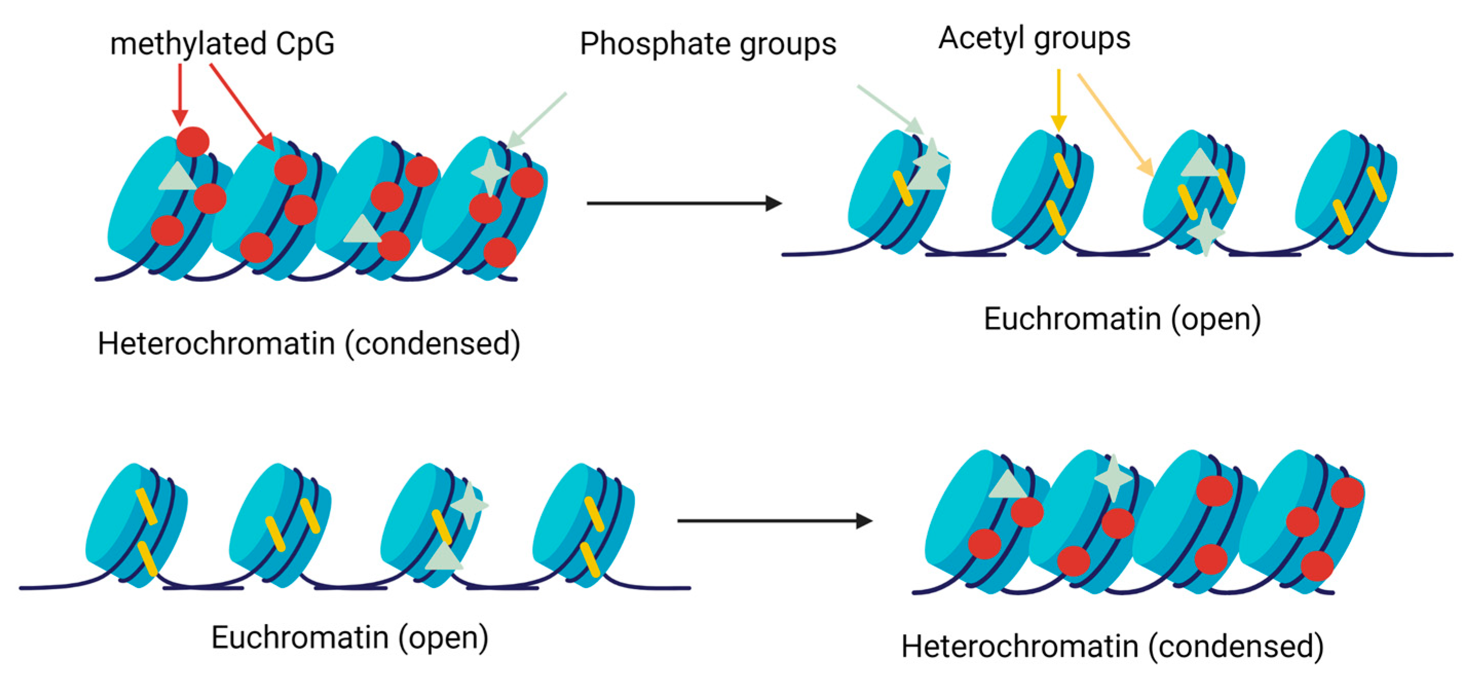 Animals 13 00468 g003 Animals 13 00468 g003