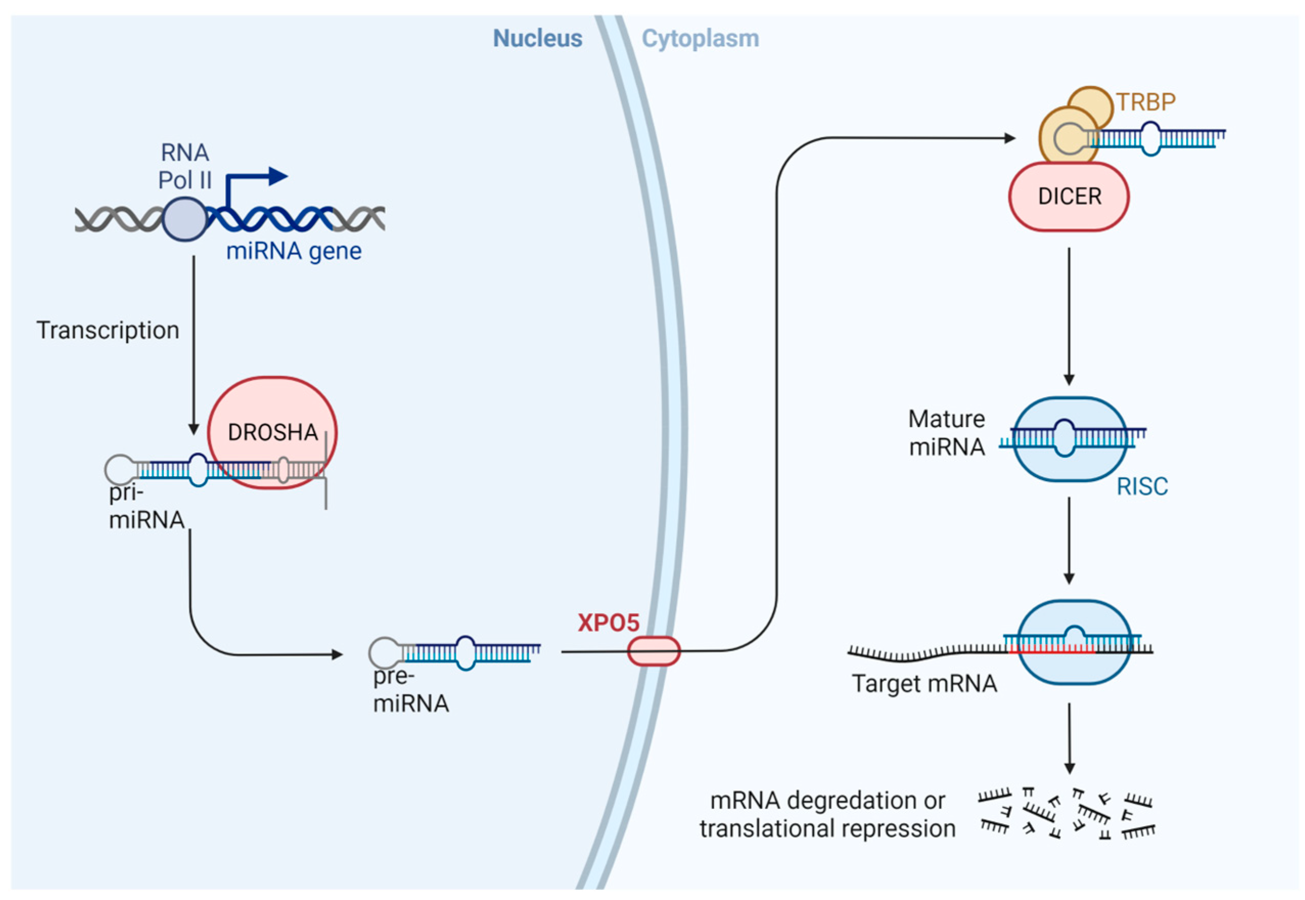 Animals 13 00468 g005 Animals 13 00468 g005