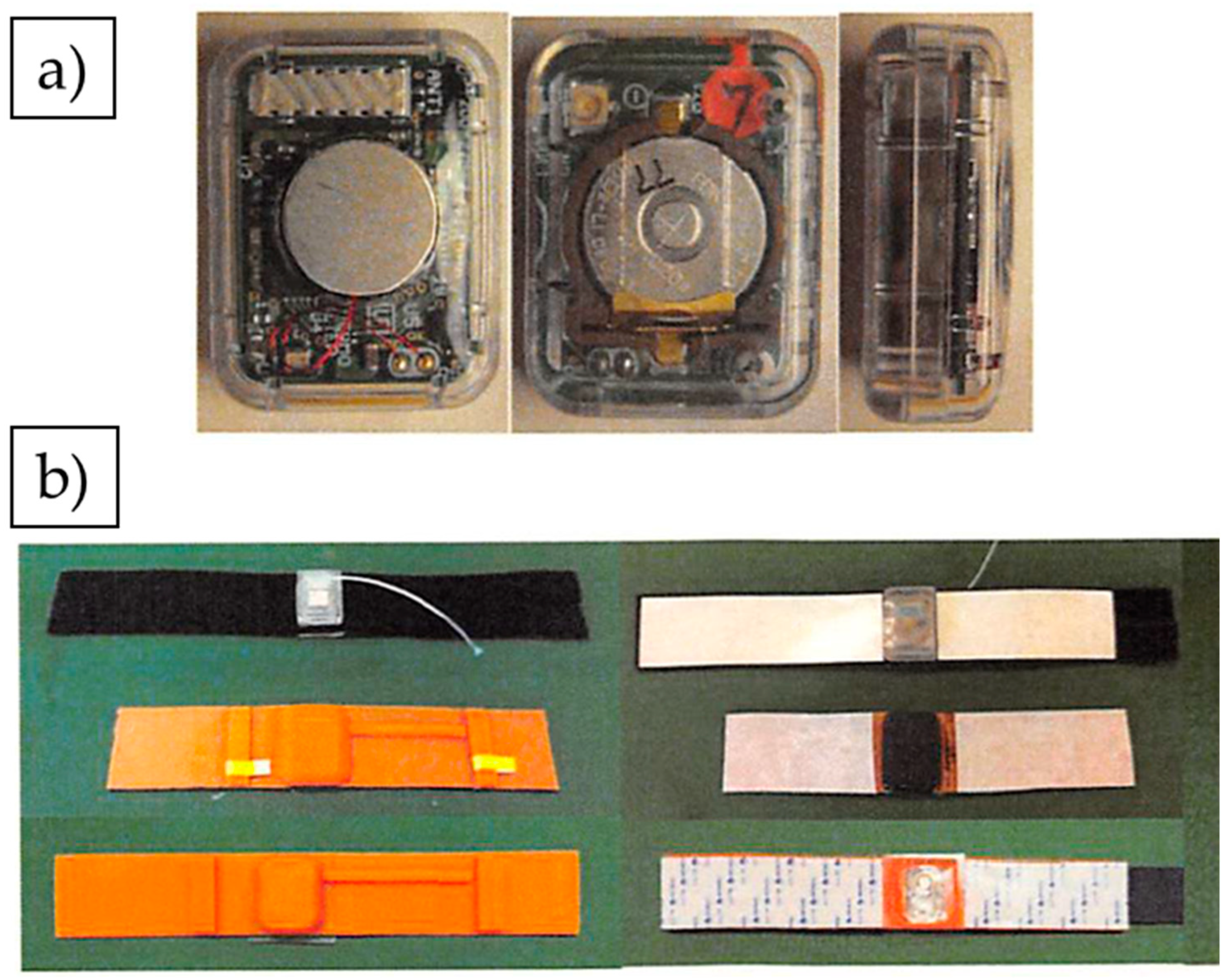 Animals 13 00469 g001