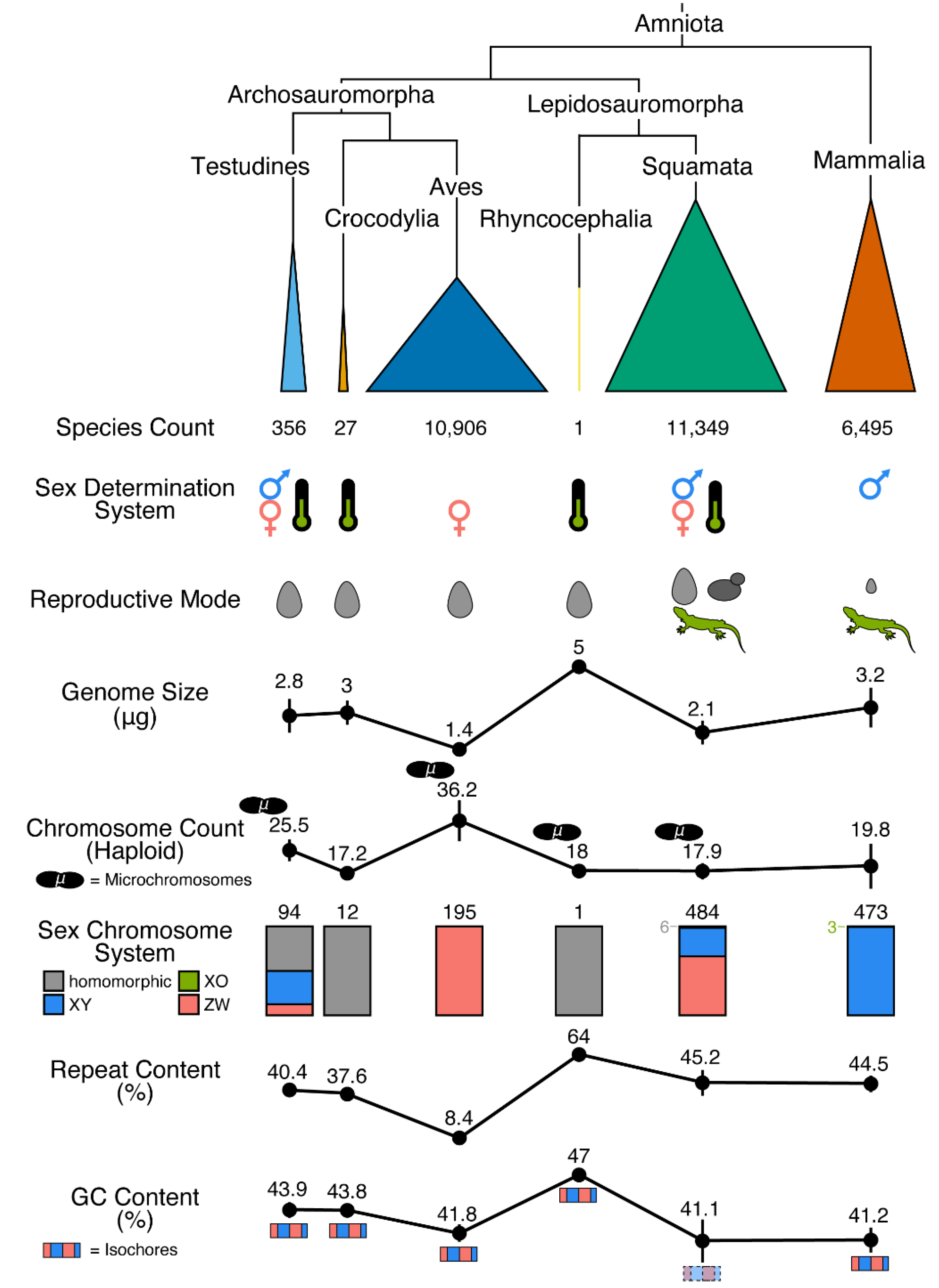 Animals 13 00471 g001 Animals 13 00471 g001