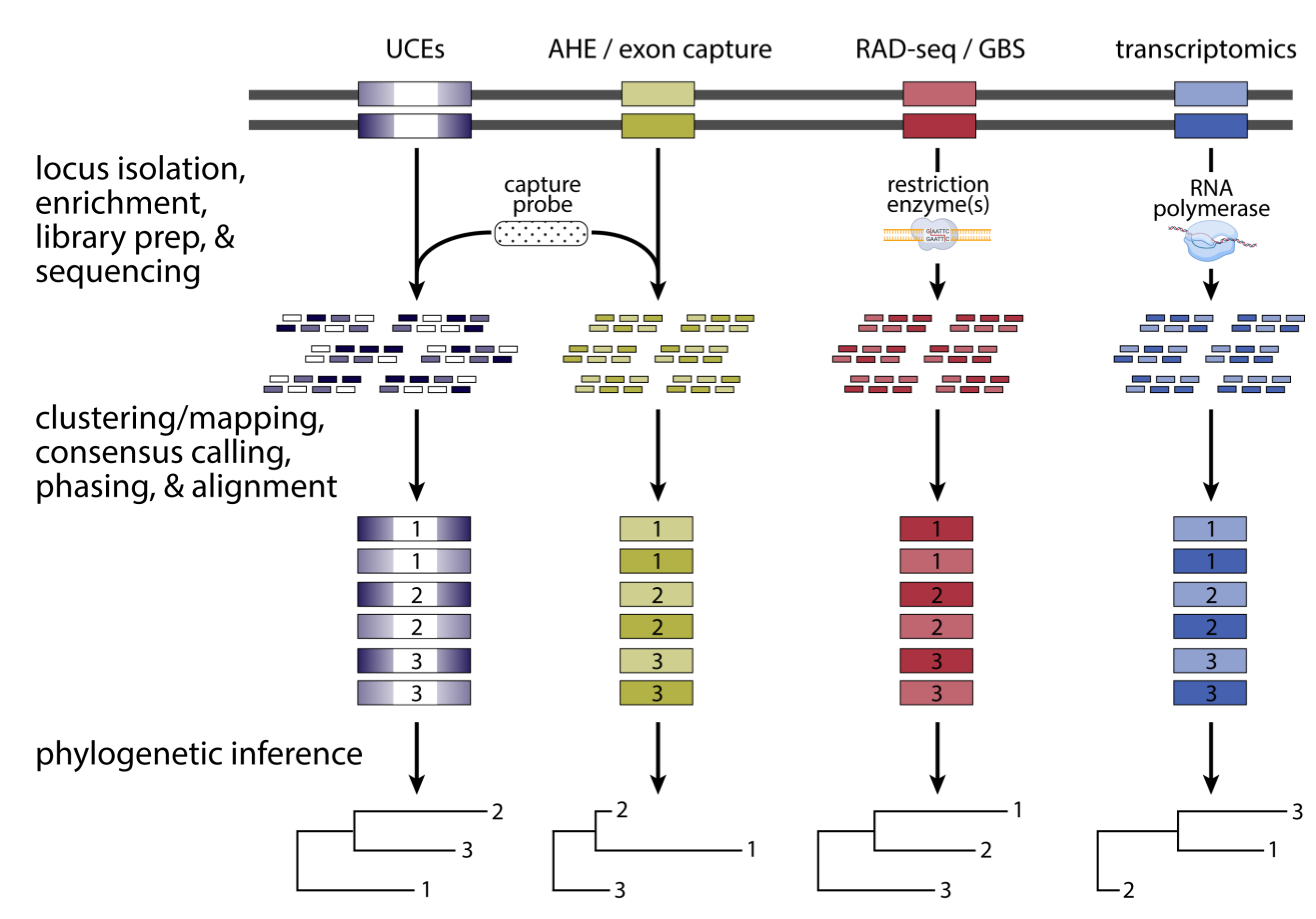 Animals 13 00471 g004 Animals 13 00471 g004