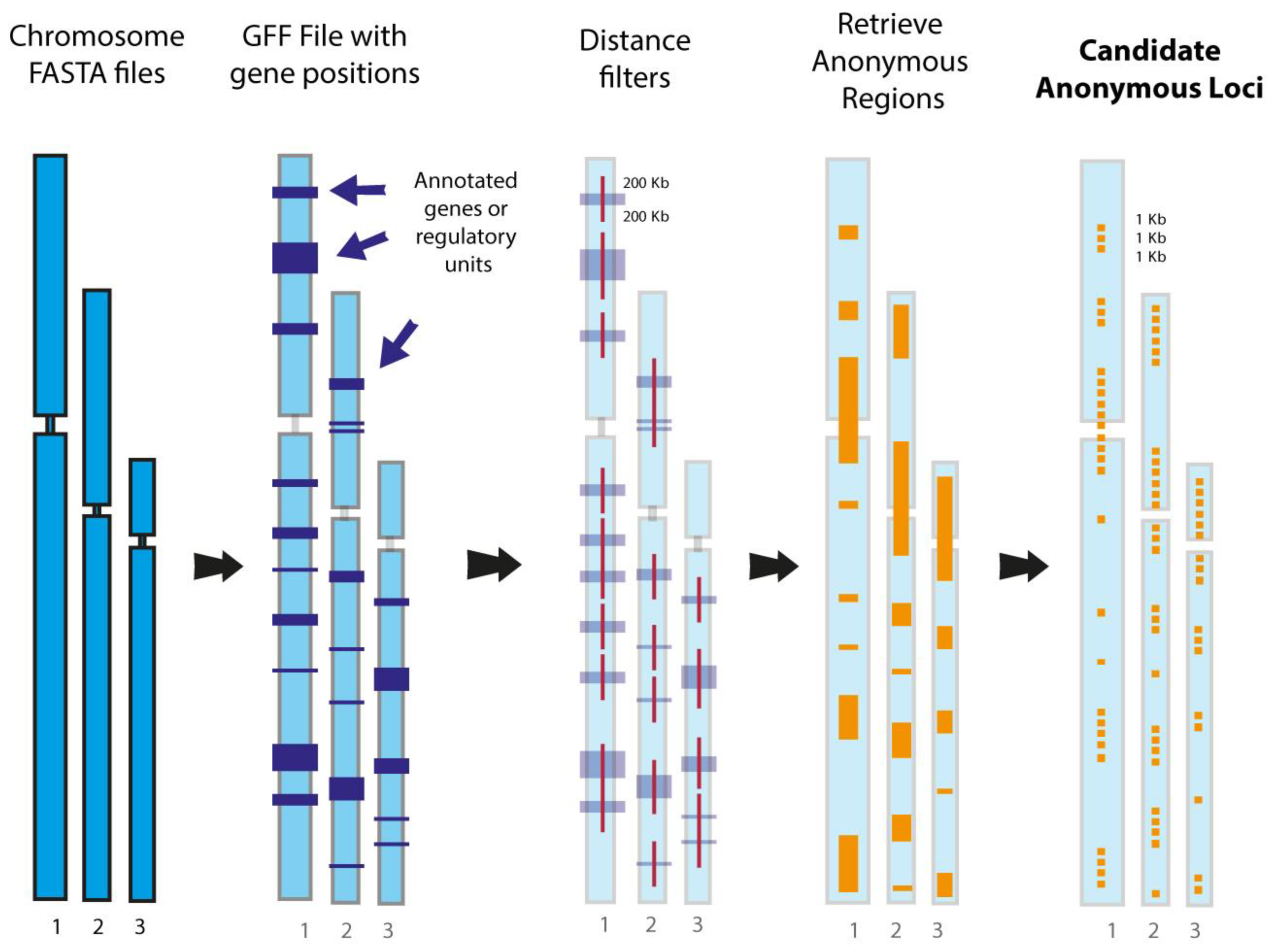 Animals 13 00471 g005 Animals 13 00471 g005
