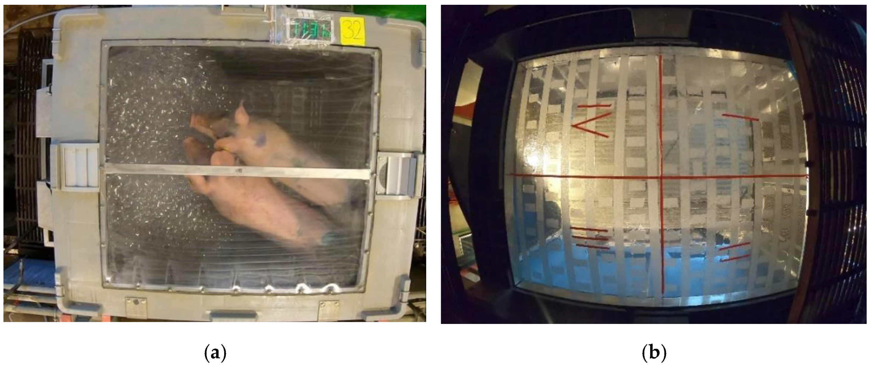 Animals 13 00481 g001