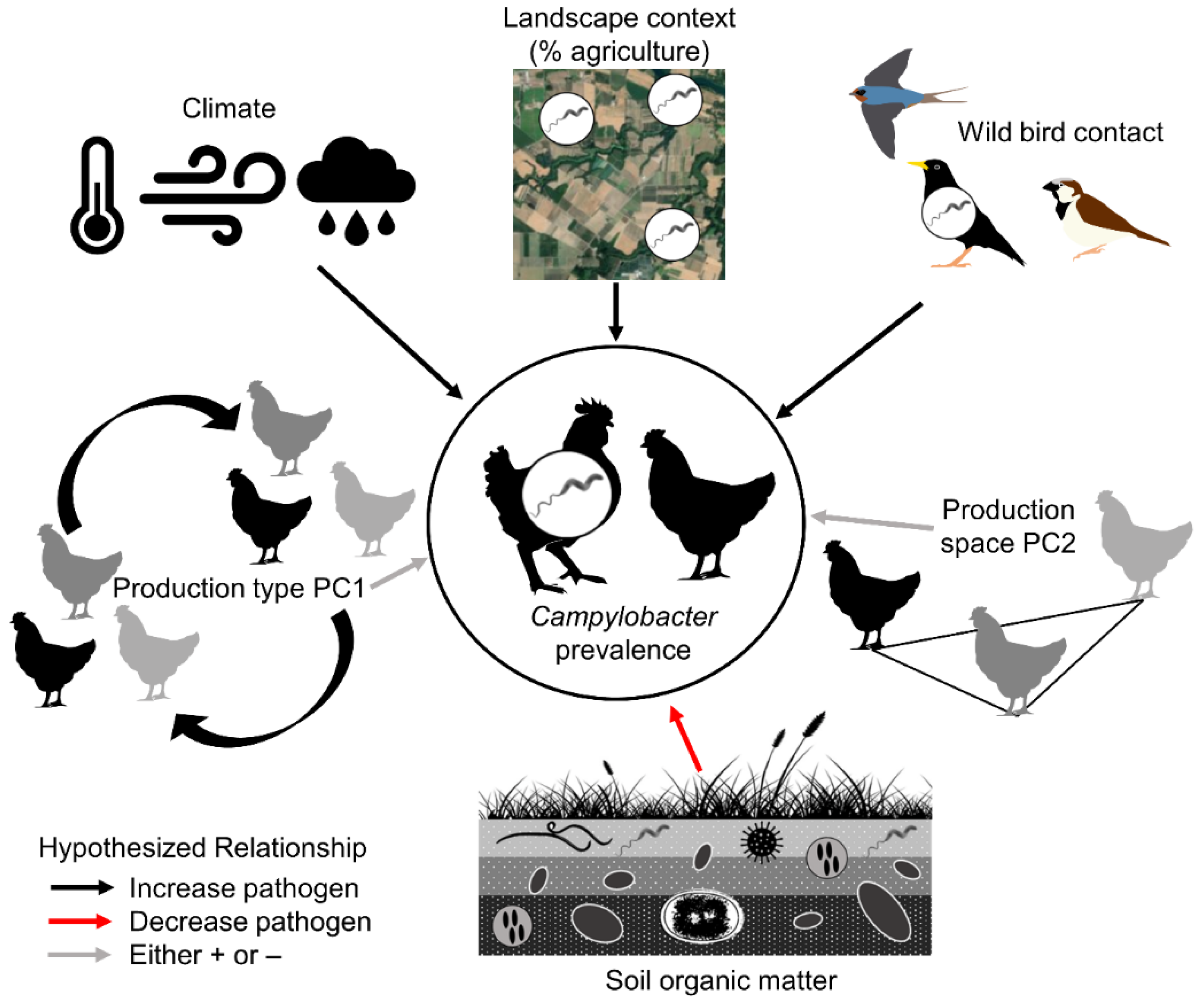 Animals 13 00492 g001